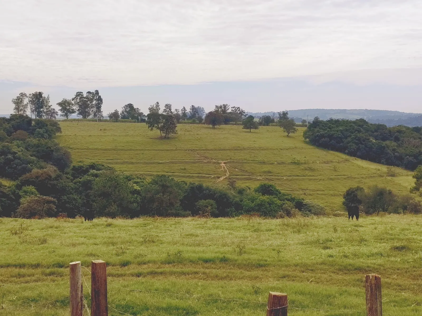 Sítio à venda de 58 ha em Itapetininga, SP, Brasil