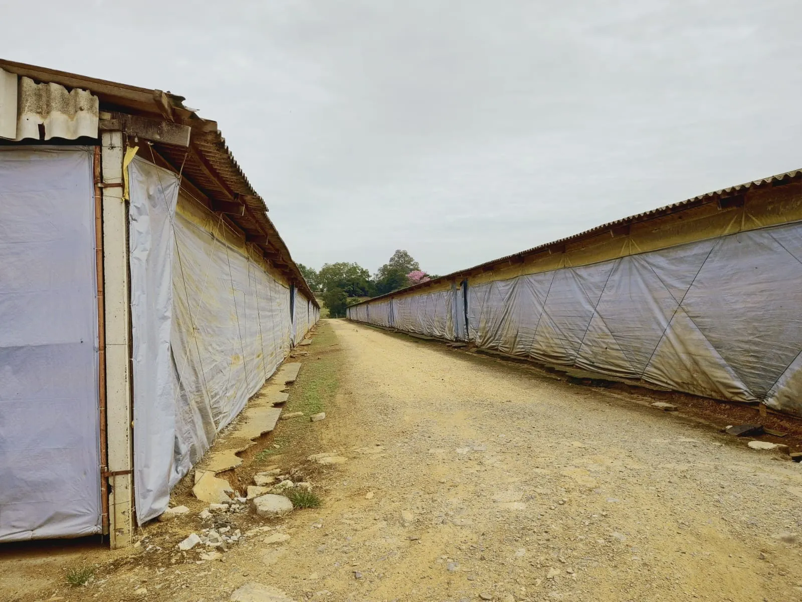 Sítio à venda de 58 ha em Itapetininga, SP, Brasil