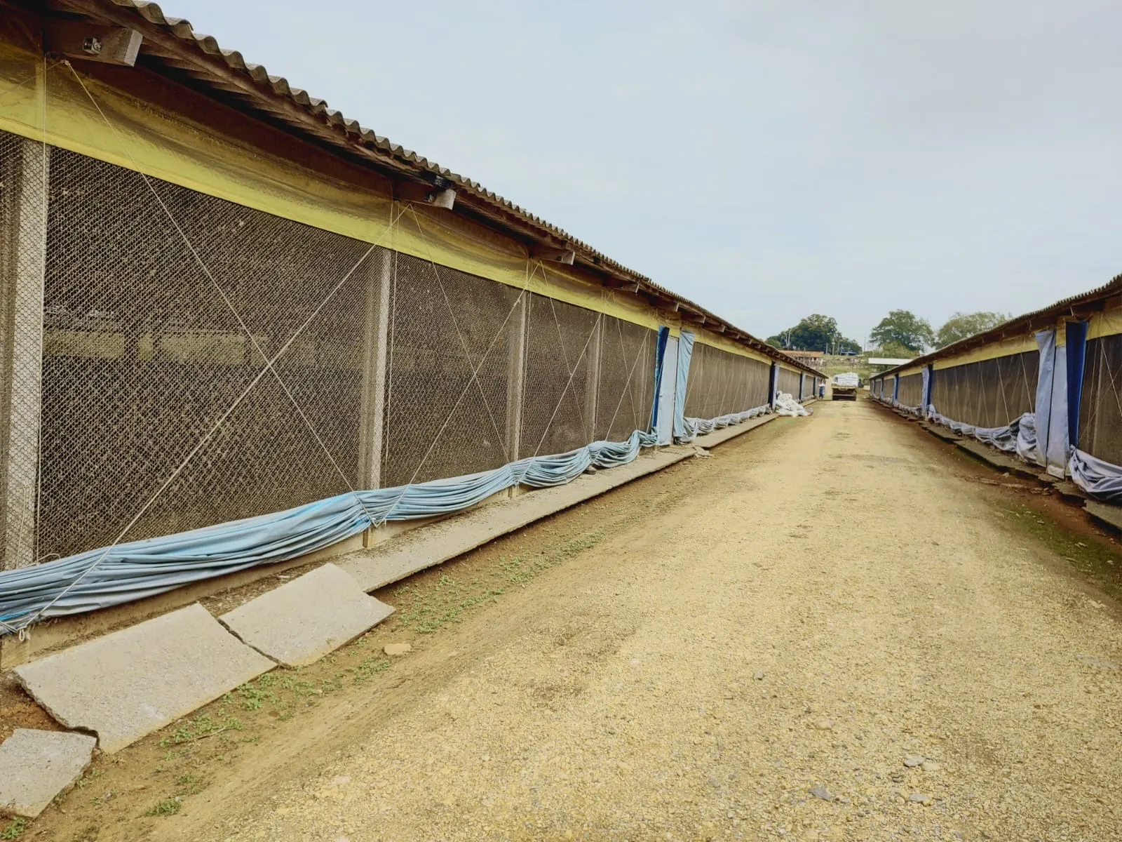 Sítio à venda de 58 ha em Itapetininga, SP, Brasil