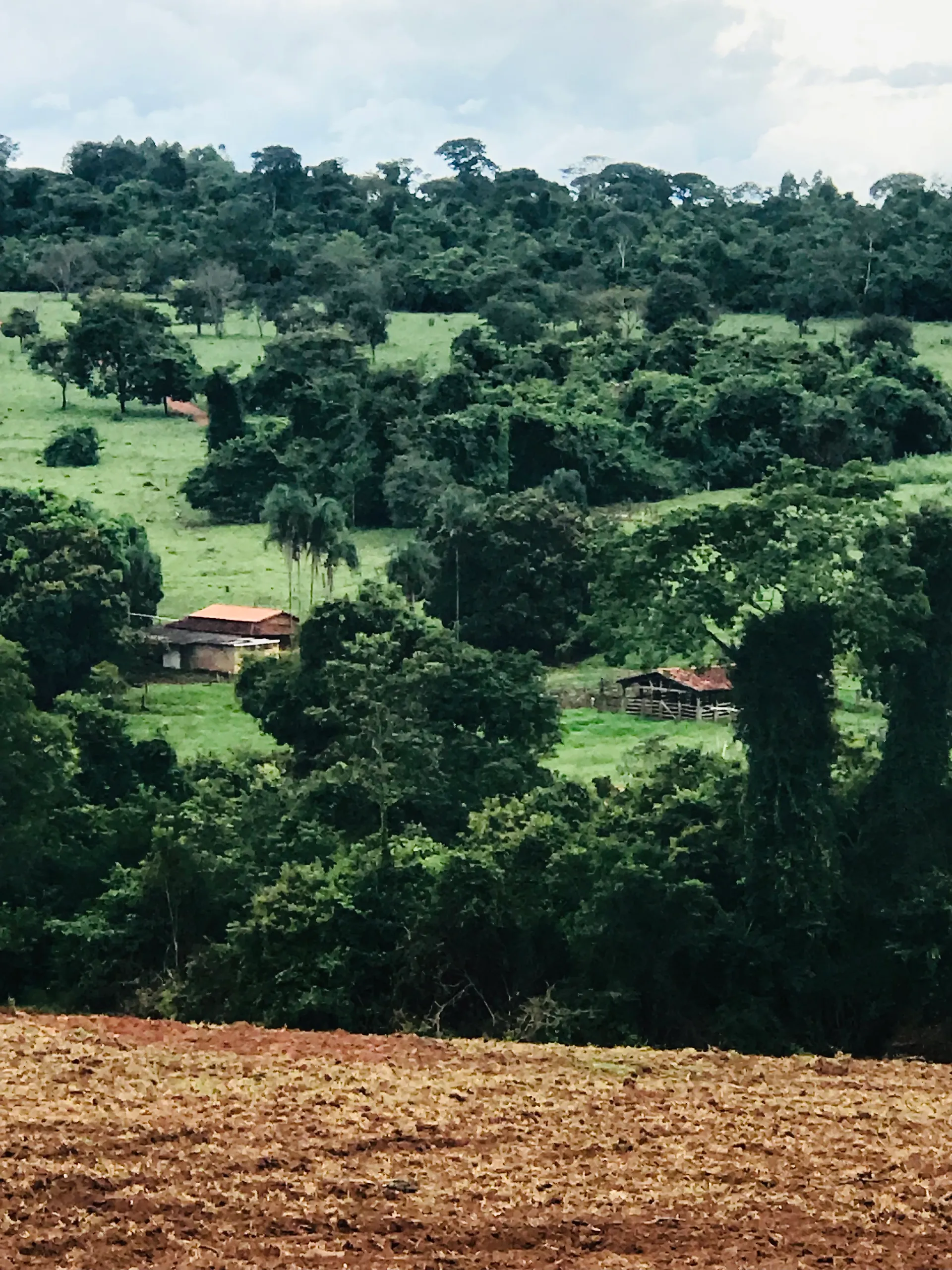 Fazenda à venda de 100 ha em Petrolina de Goiás, GO, Brasil
