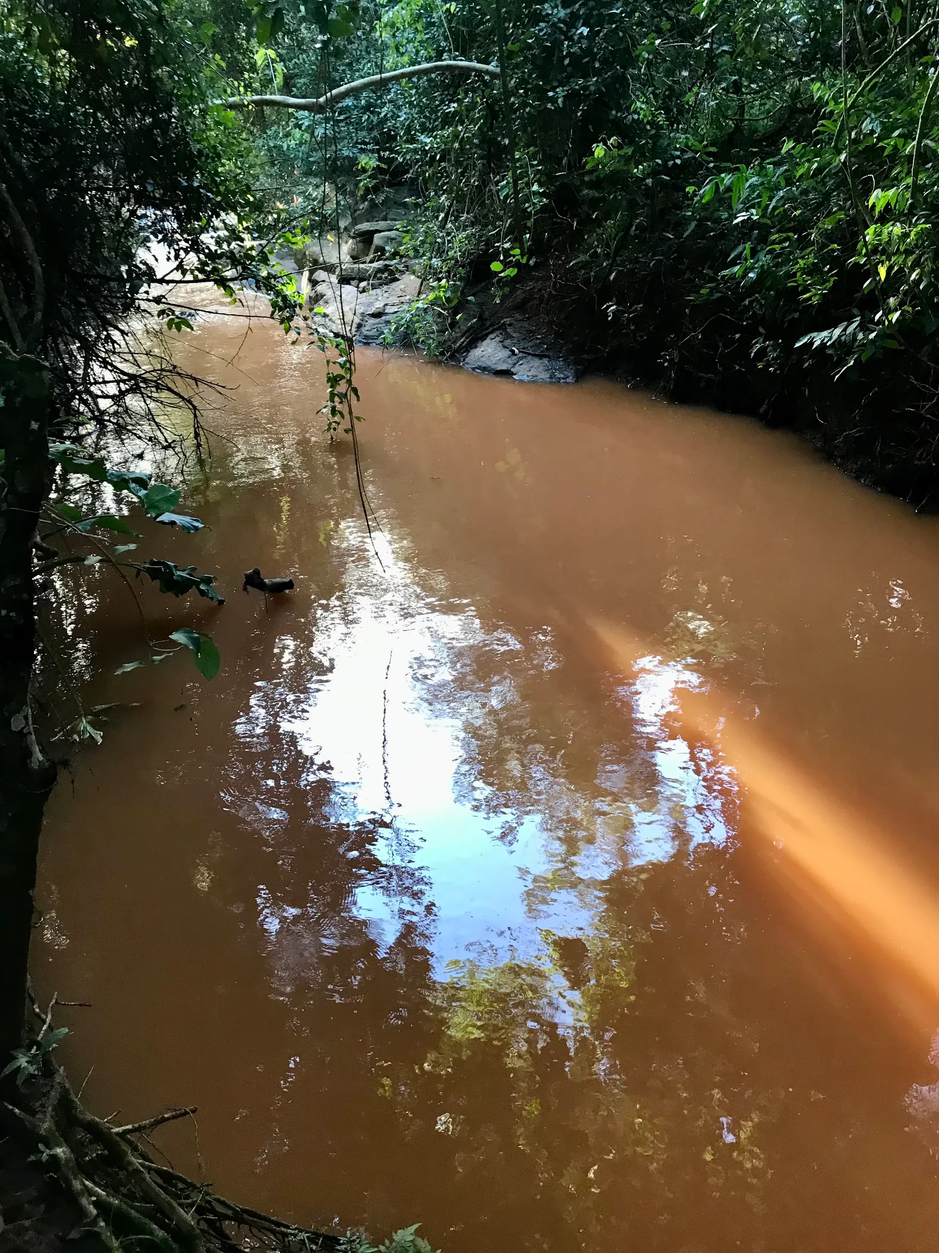 Fazenda à venda de 100 ha em Petrolina de Goiás, GO, Brasil