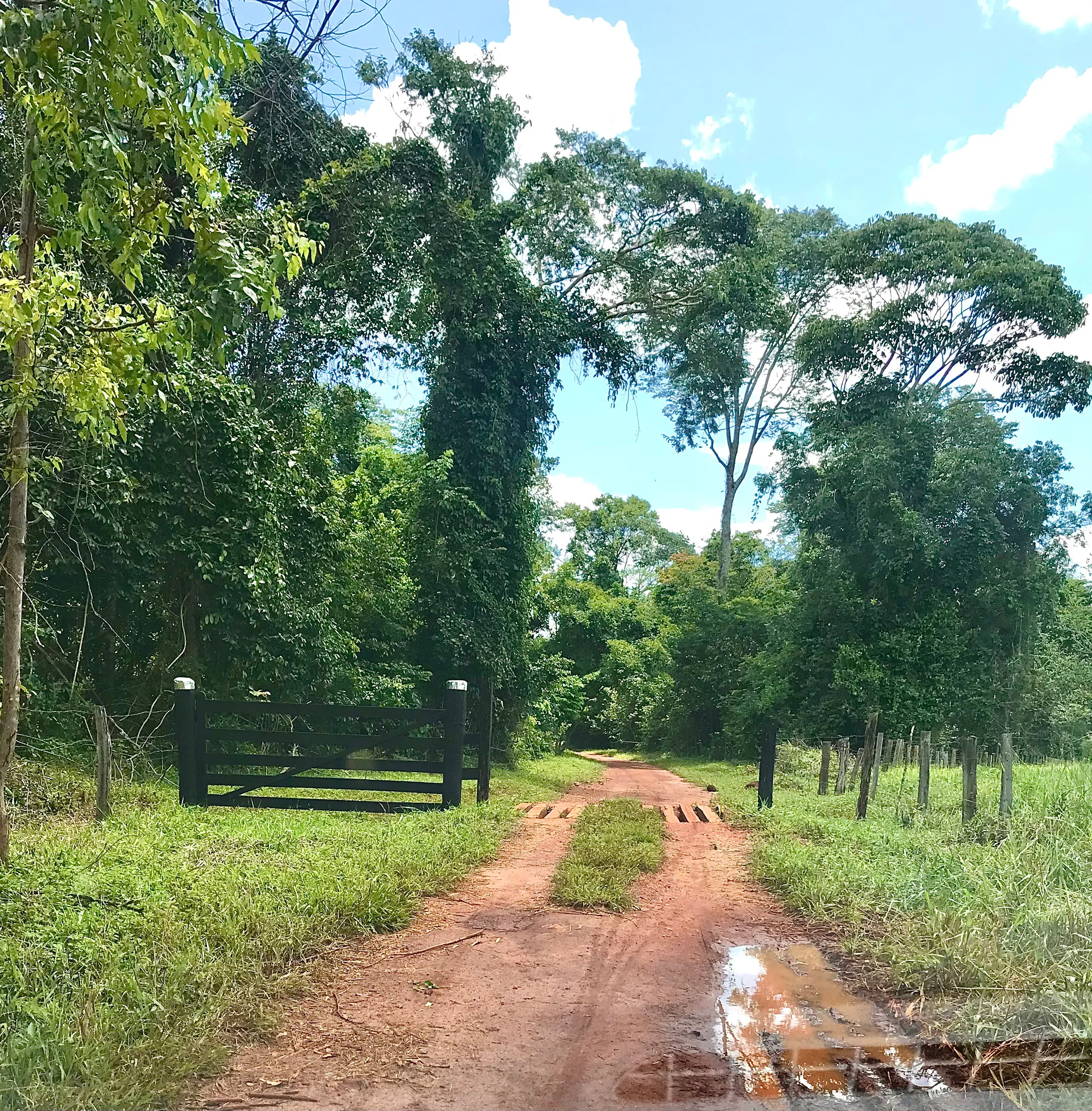 Fazenda à venda de 100 ha em Petrolina de Goiás, GO, Brasil