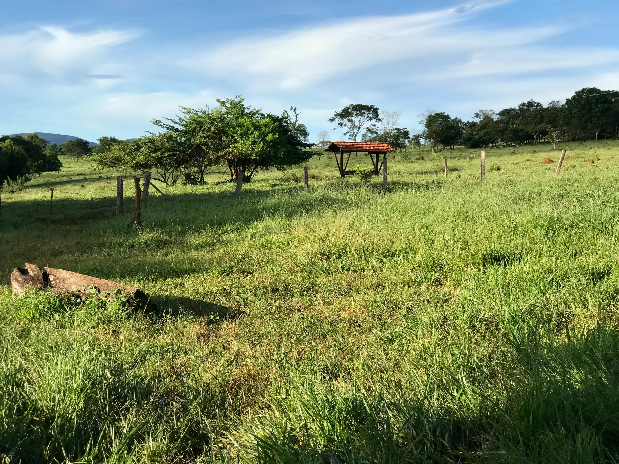 Fazenda à venda de 100 ha em Petrolina de Goiás, GO, Brasil