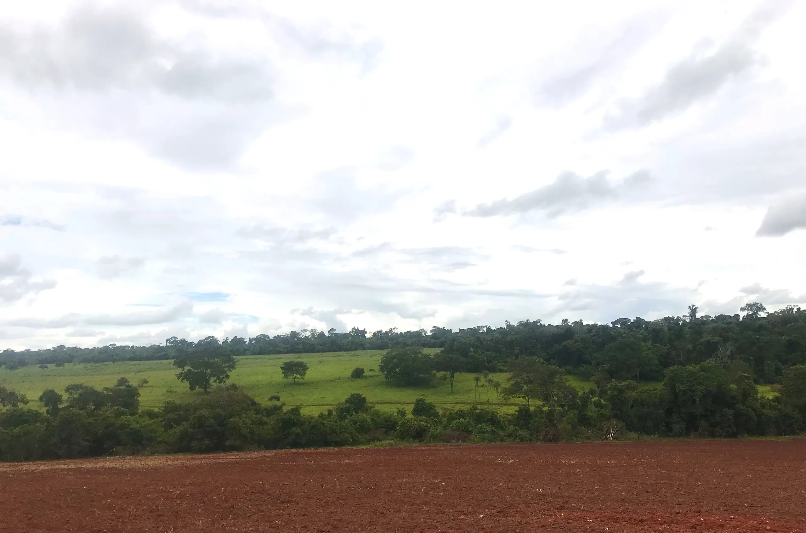 Fazenda à venda de 100 ha em Petrolina de Goiás, GO, Brasil