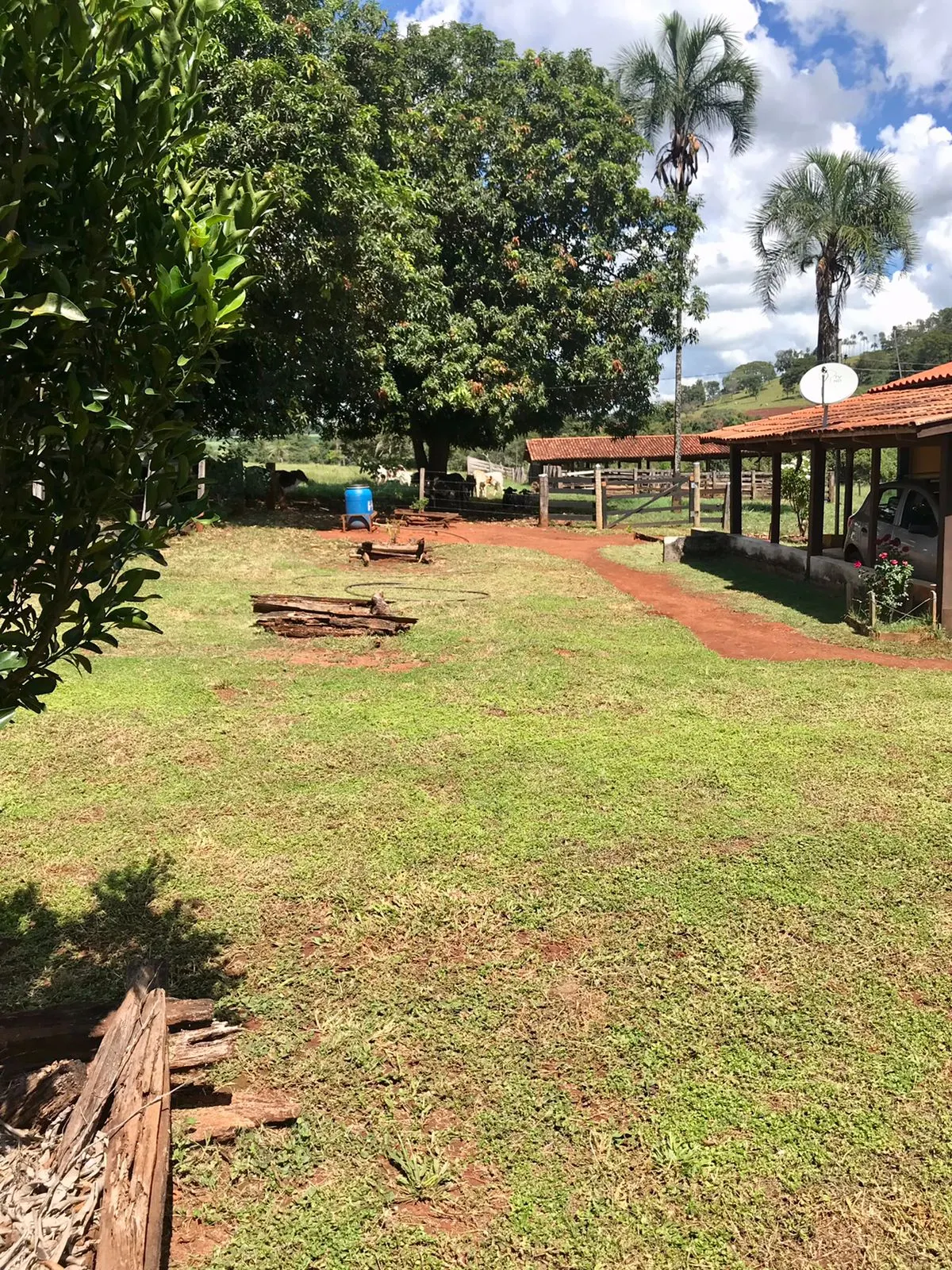 Fazenda à venda de 100 ha em Petrolina de Goiás, GO, Brasil