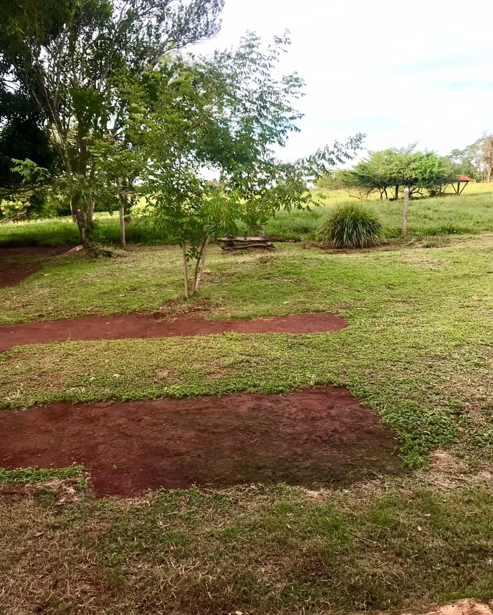 Fazenda à venda de 100 ha em Petrolina de Goiás, GO, Brasil