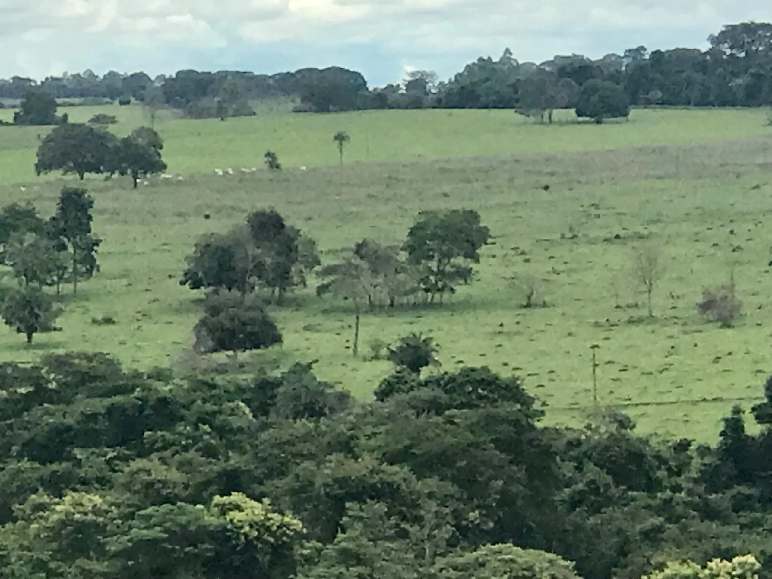 Fazenda à venda de 100 ha em Petrolina de Goiás, GO, Brasil
