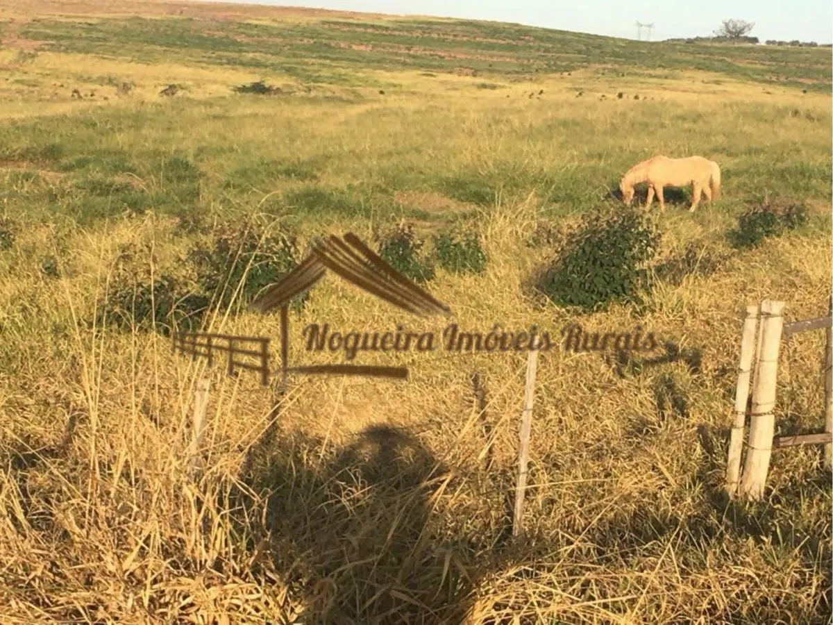 Fazenda à venda de 111 ha em Águas de Santa Bárbara, SP, Brasil