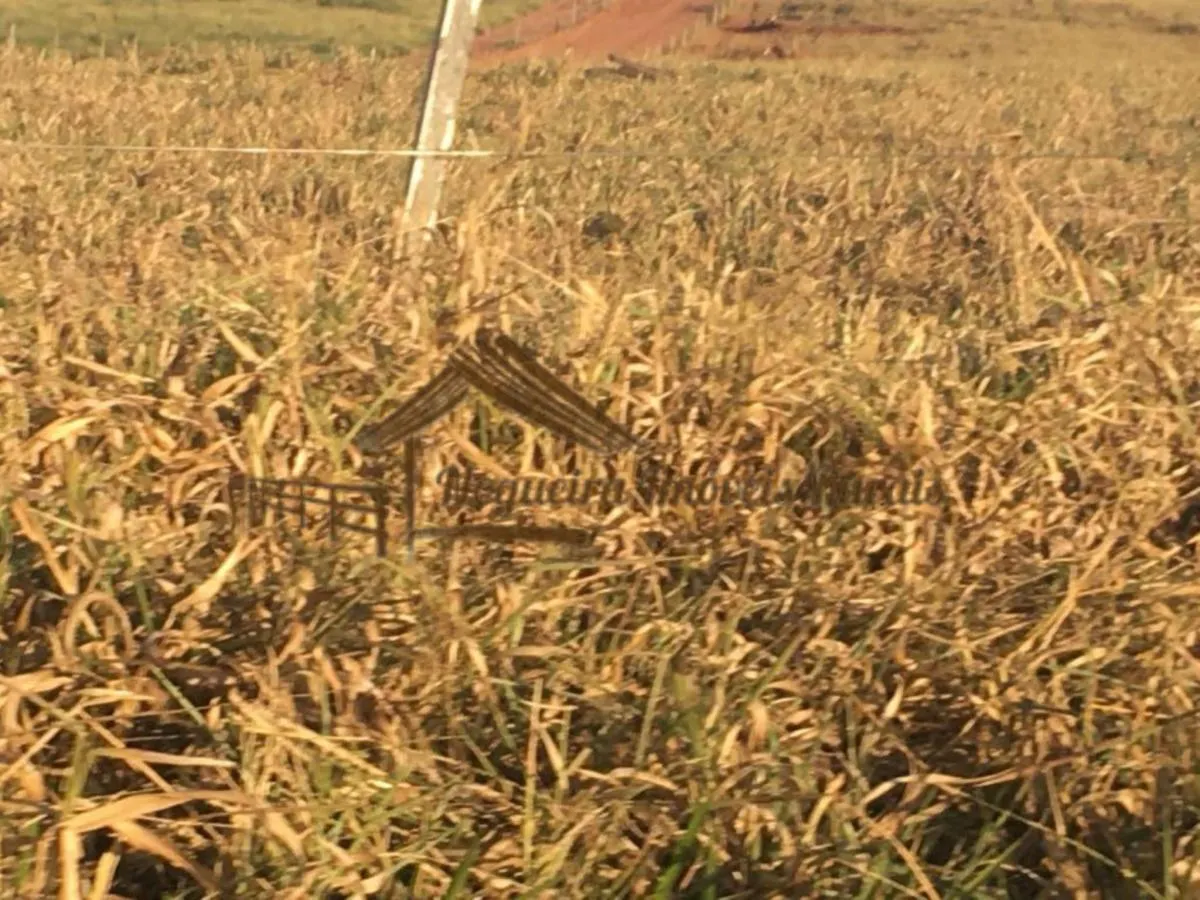 Fazenda à venda de 111 ha em Águas de Santa Bárbara, SP, Brasil