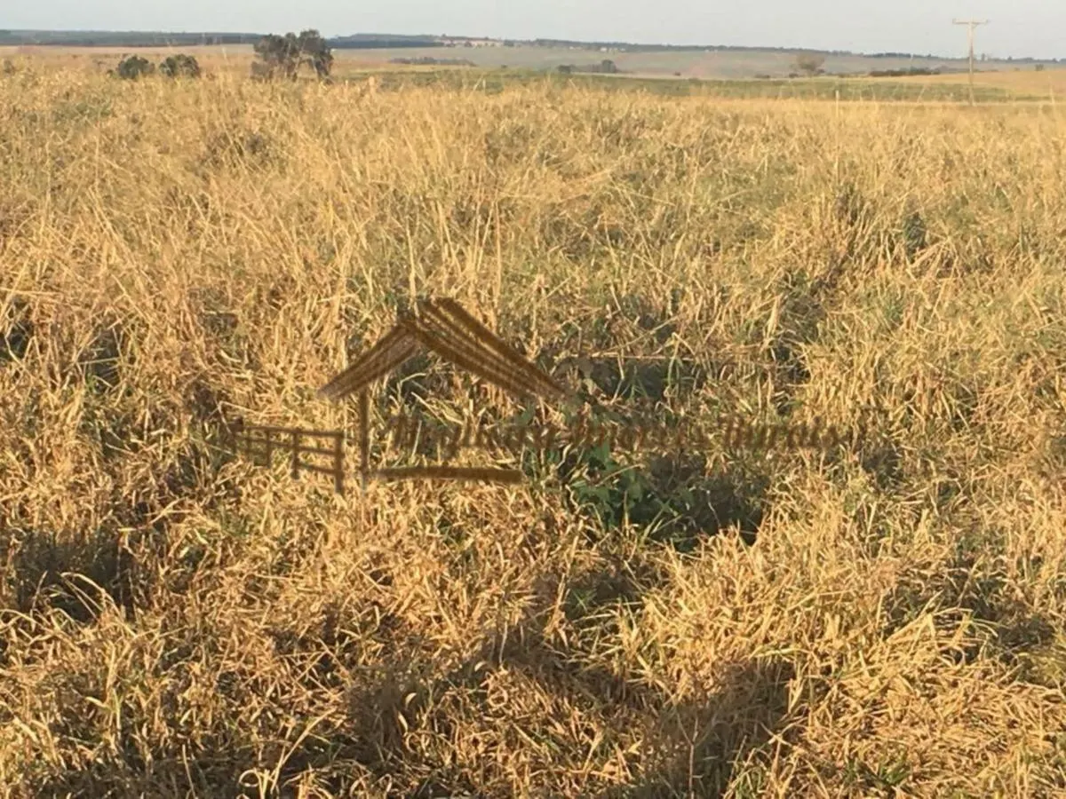 Fazenda à venda de 111 ha em Águas de Santa Bárbara, SP, Brasil