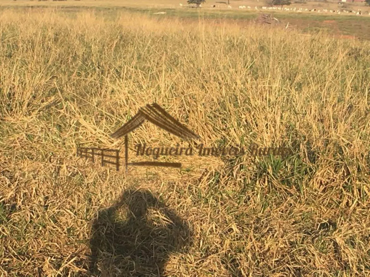 Fazenda à venda de 111 ha em Águas de Santa Bárbara, SP, Brasil