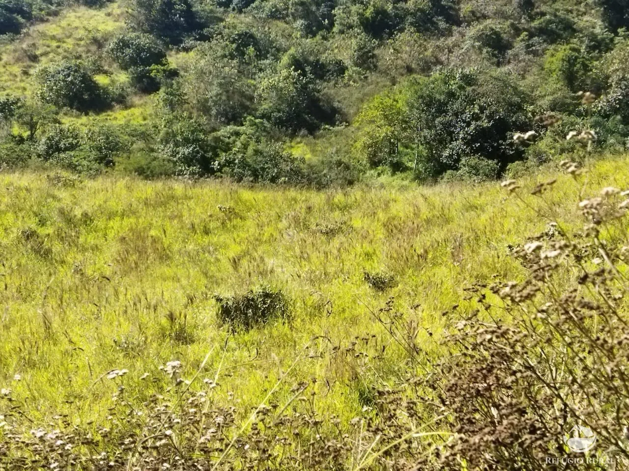Terreno à venda de 5 ha em São José dos Campos, SP, Brasil