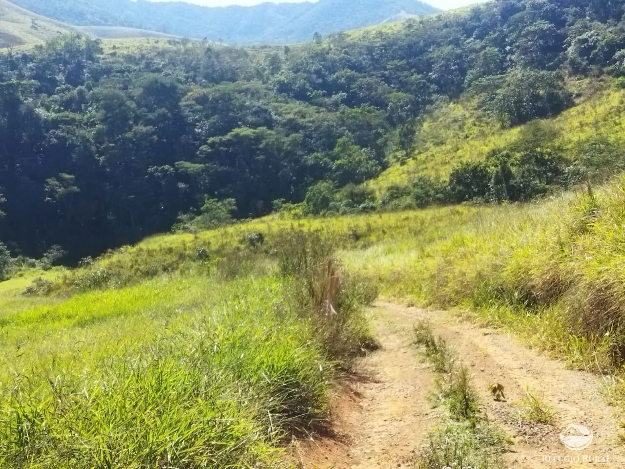 Terreno à venda de 5 ha em São José dos Campos, SP, Brasil