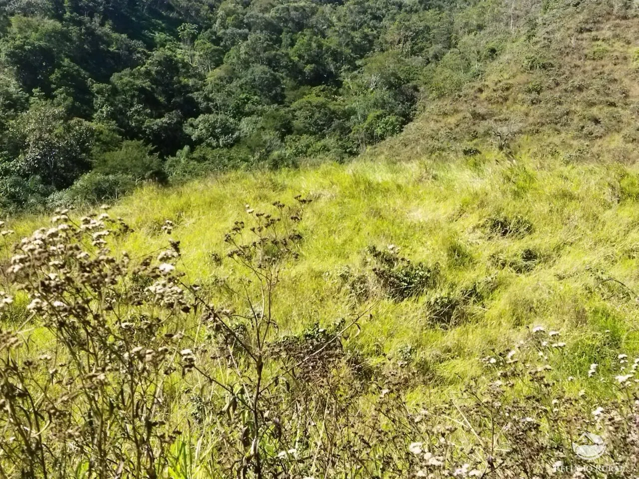 Terreno à venda de 5 ha em São José dos Campos, SP, Brasil