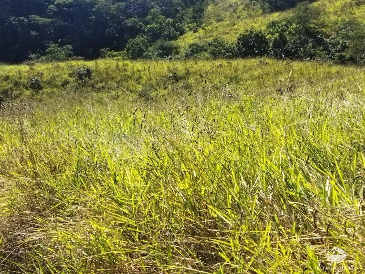 Terreno à venda de 5 ha em São José dos Campos, SP, Brasil