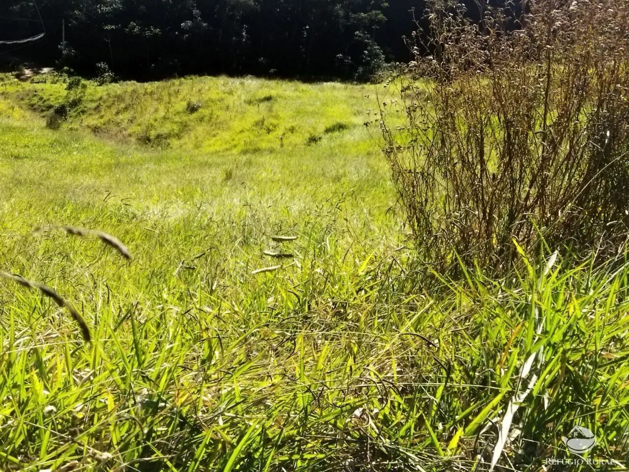 Terreno à venda de 5 ha em São José dos Campos, SP, Brasil