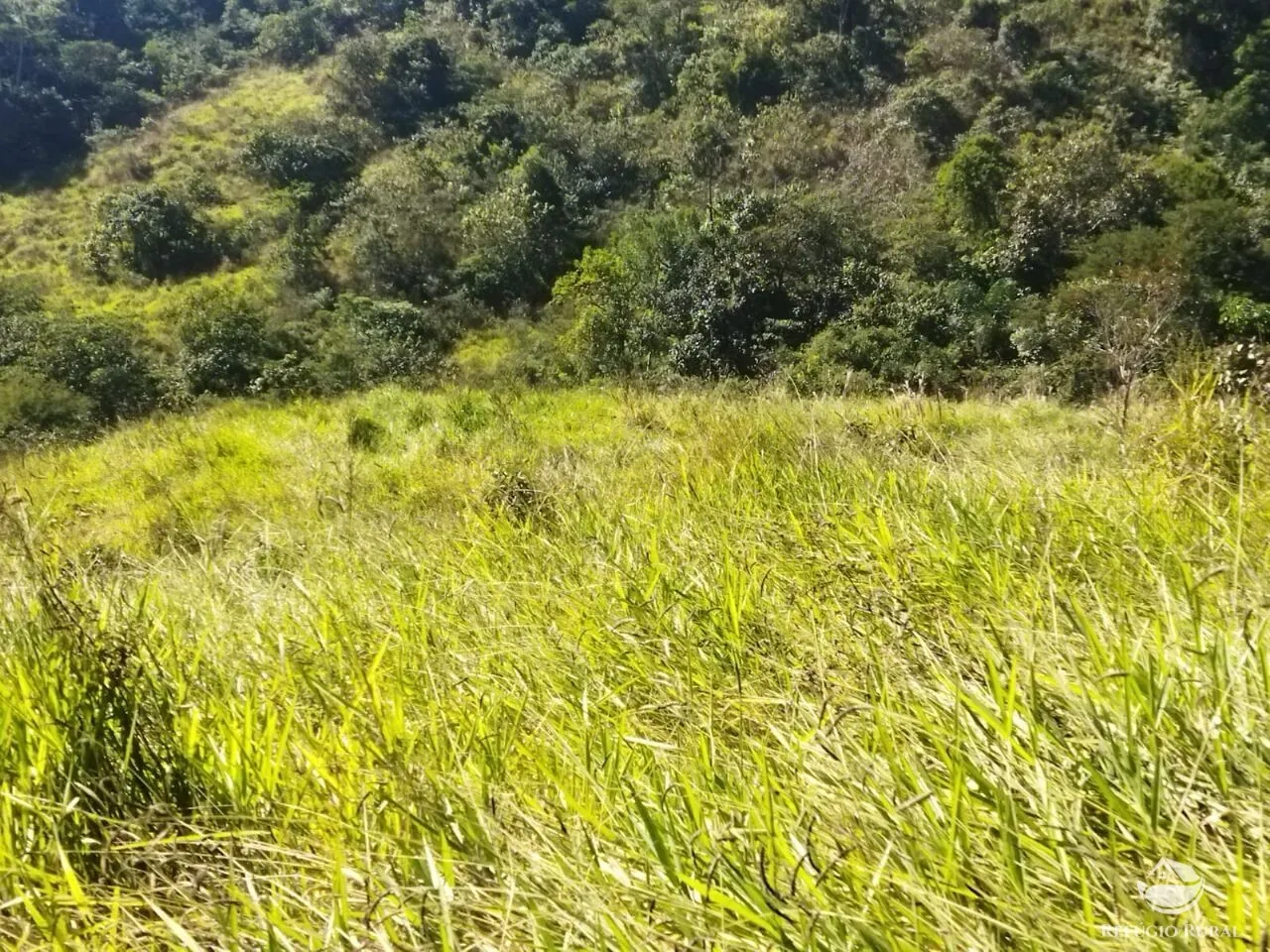 Terreno à venda de 5 ha em São José dos Campos, SP, Brasil