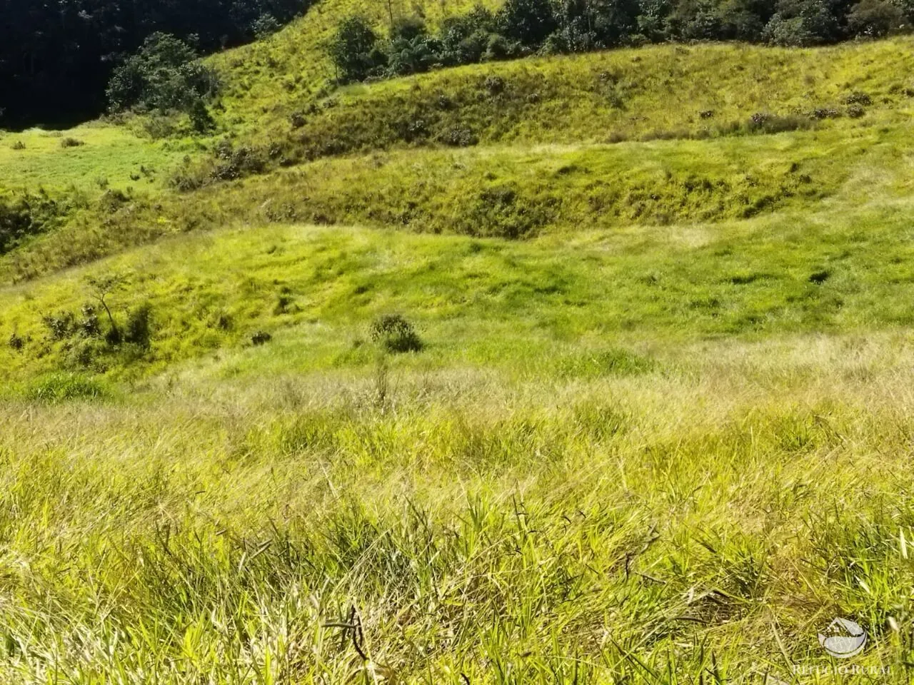 Terreno à venda de 5 ha em São José dos Campos, SP, Brasil