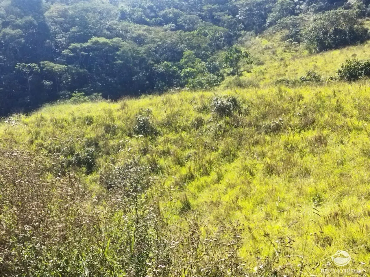 Terreno à venda de 5 ha em São José dos Campos, SP, Brasil