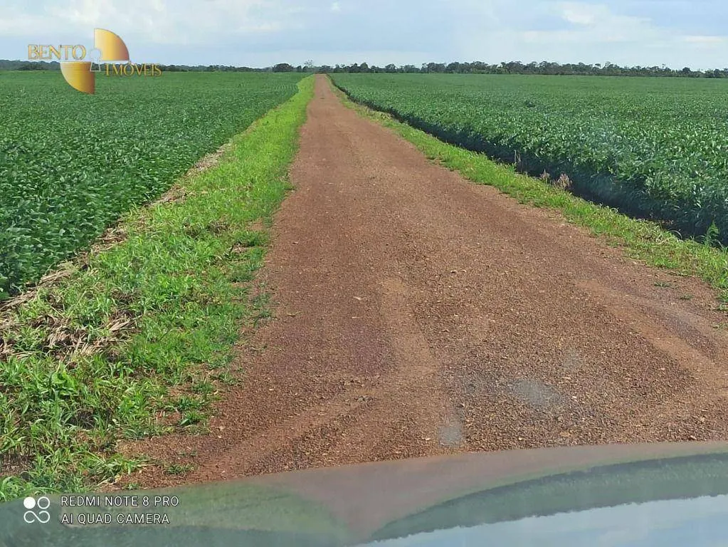 Fazenda à venda de 5.600 ha em Primavera do Leste, MT, Brasil