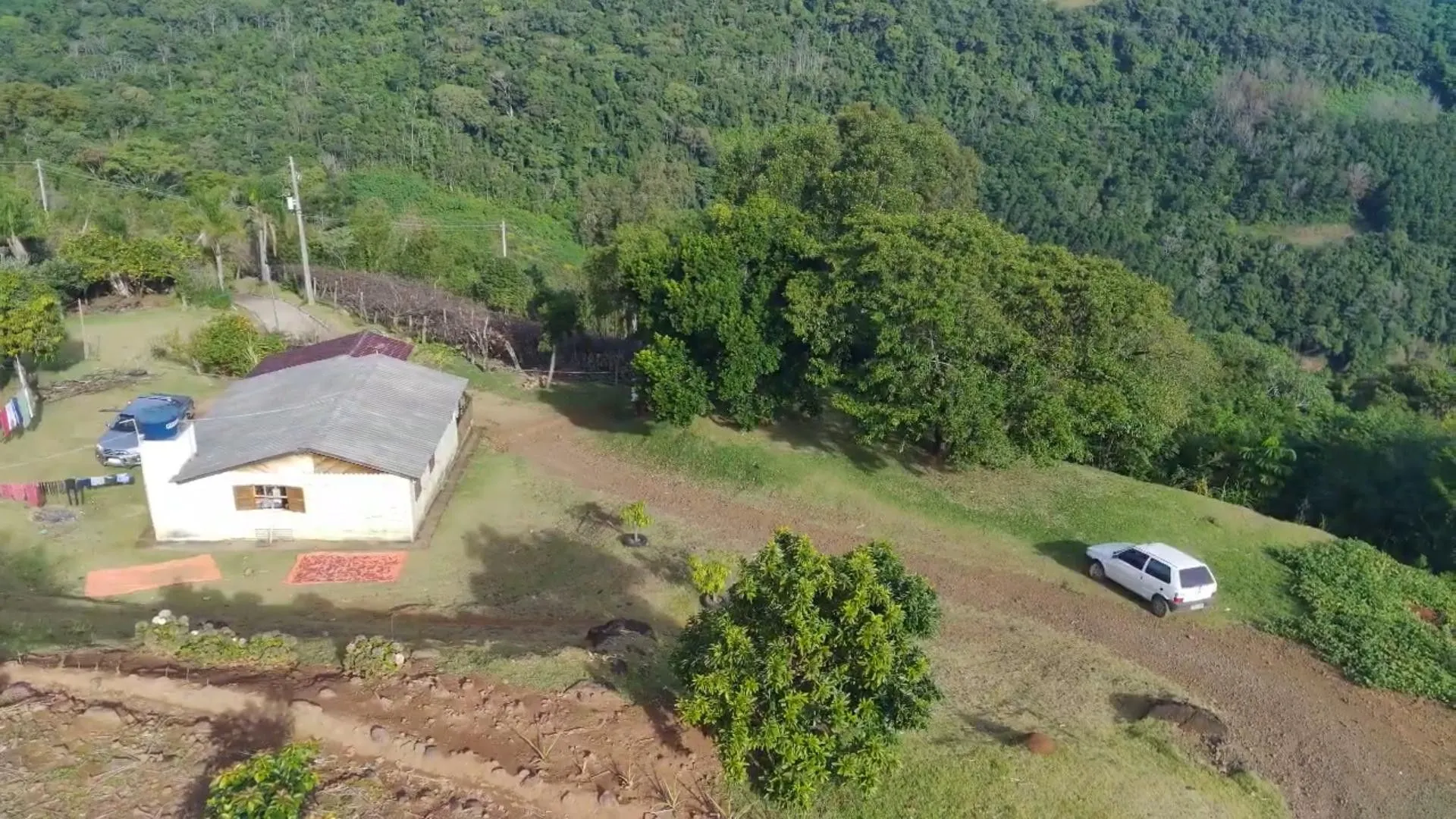 Chácara à venda de 7 ha em Rolante, RS, Brasil