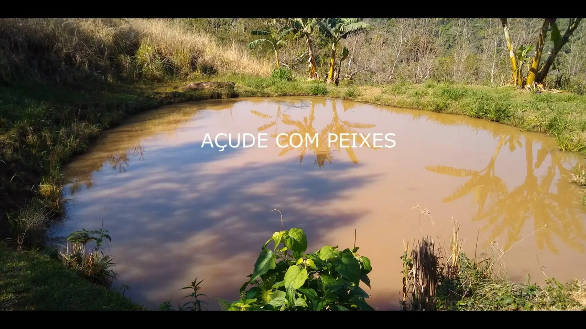 Chácara à venda de 7 ha em Rolante, RS, Brasil