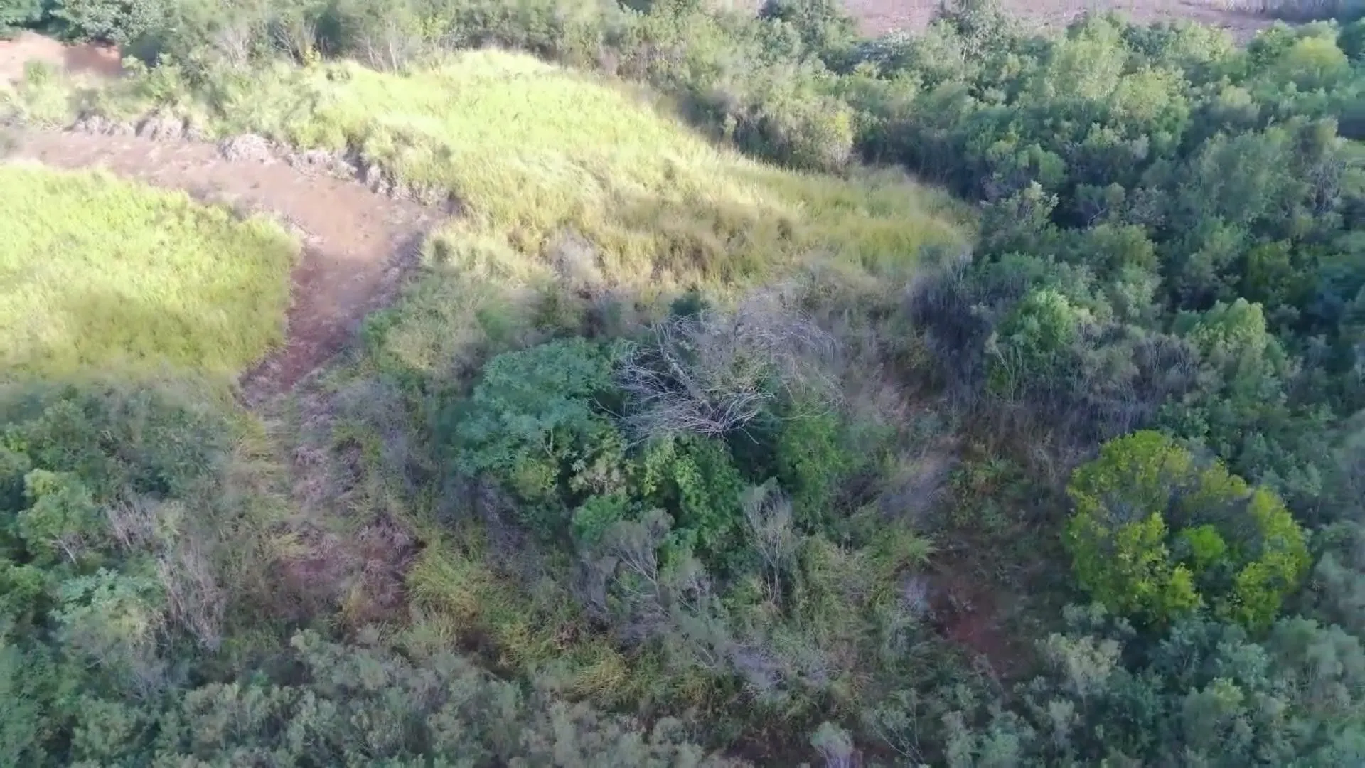 Chácara à venda de 7 ha em Rolante, RS, Brasil