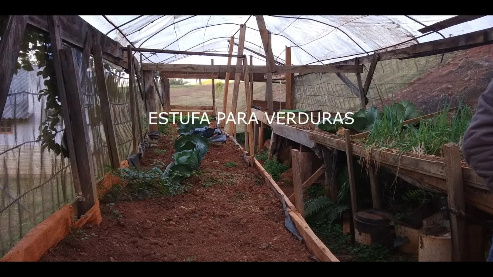 Chácara à venda de 7 ha em Rolante, RS, Brasil