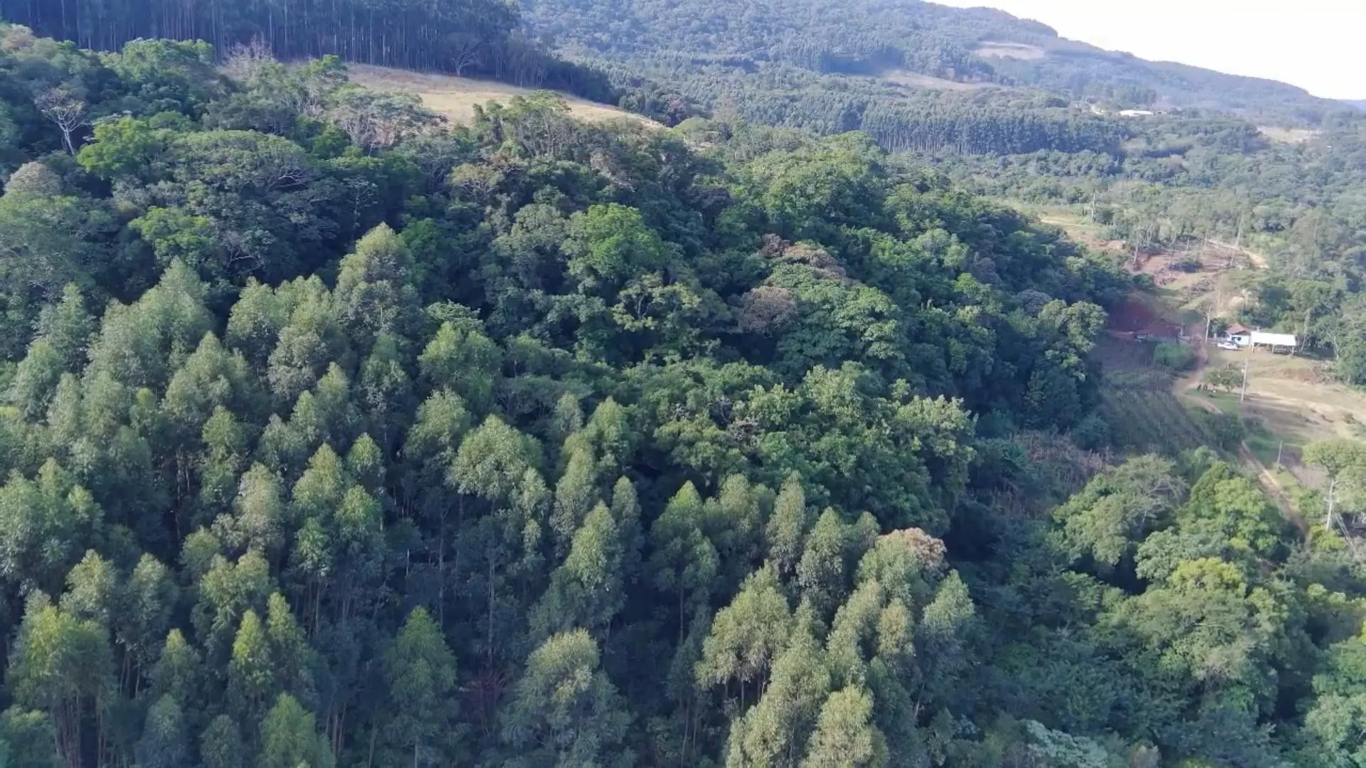 Chácara à venda de 7 ha em Rolante, RS, Brasil
