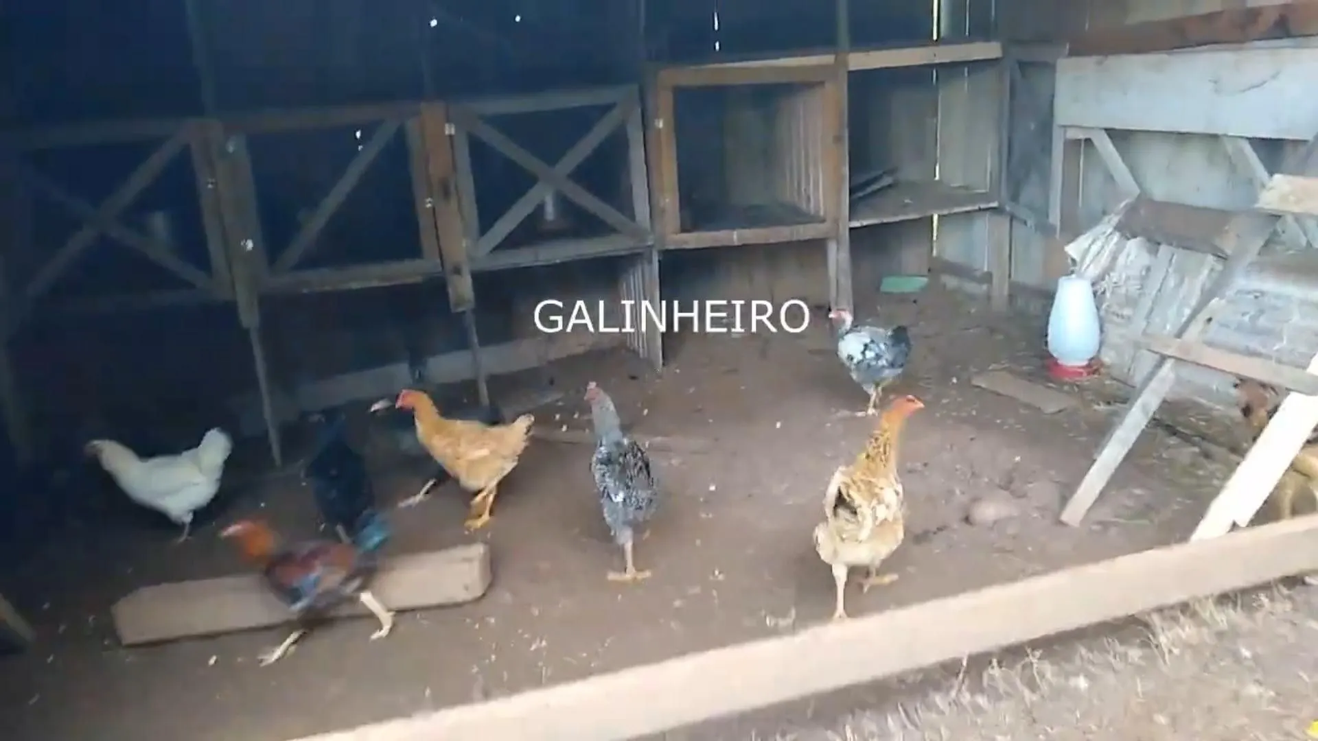 Chácara à venda de 7 ha em Rolante, RS, Brasil