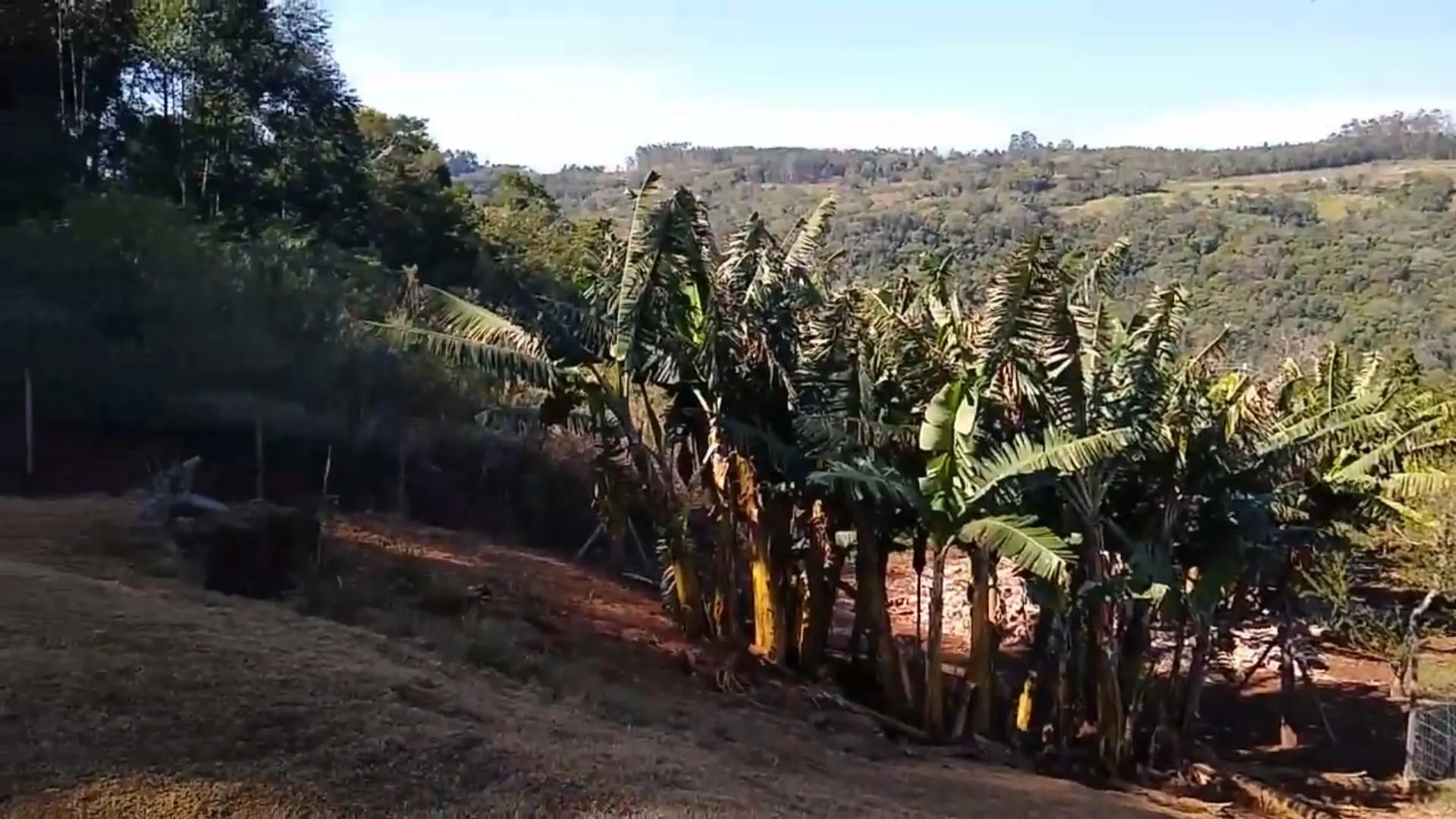 Chácara à venda de 7 ha em Rolante, RS, Brasil