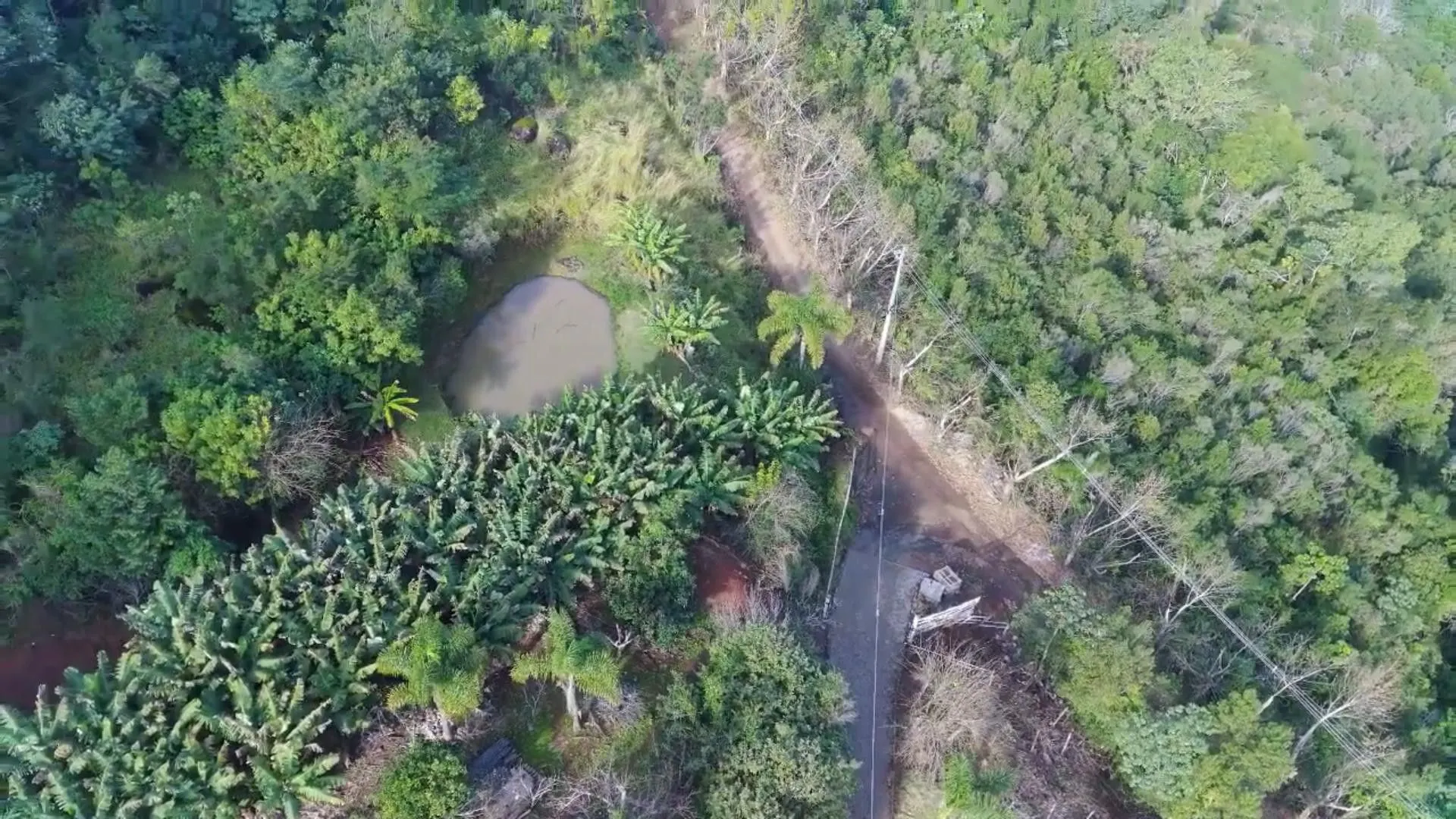 Chácara à venda de 7 ha em Rolante, RS, Brasil