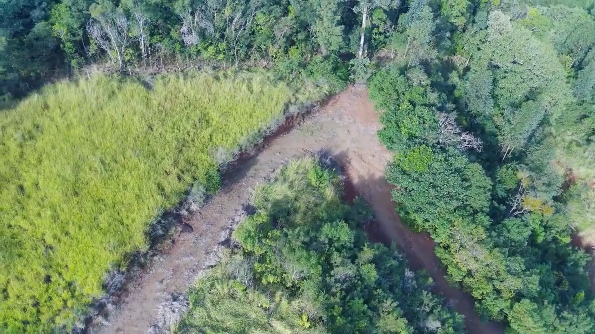 Chácara à venda de 7 ha em Rolante, RS, Brasil