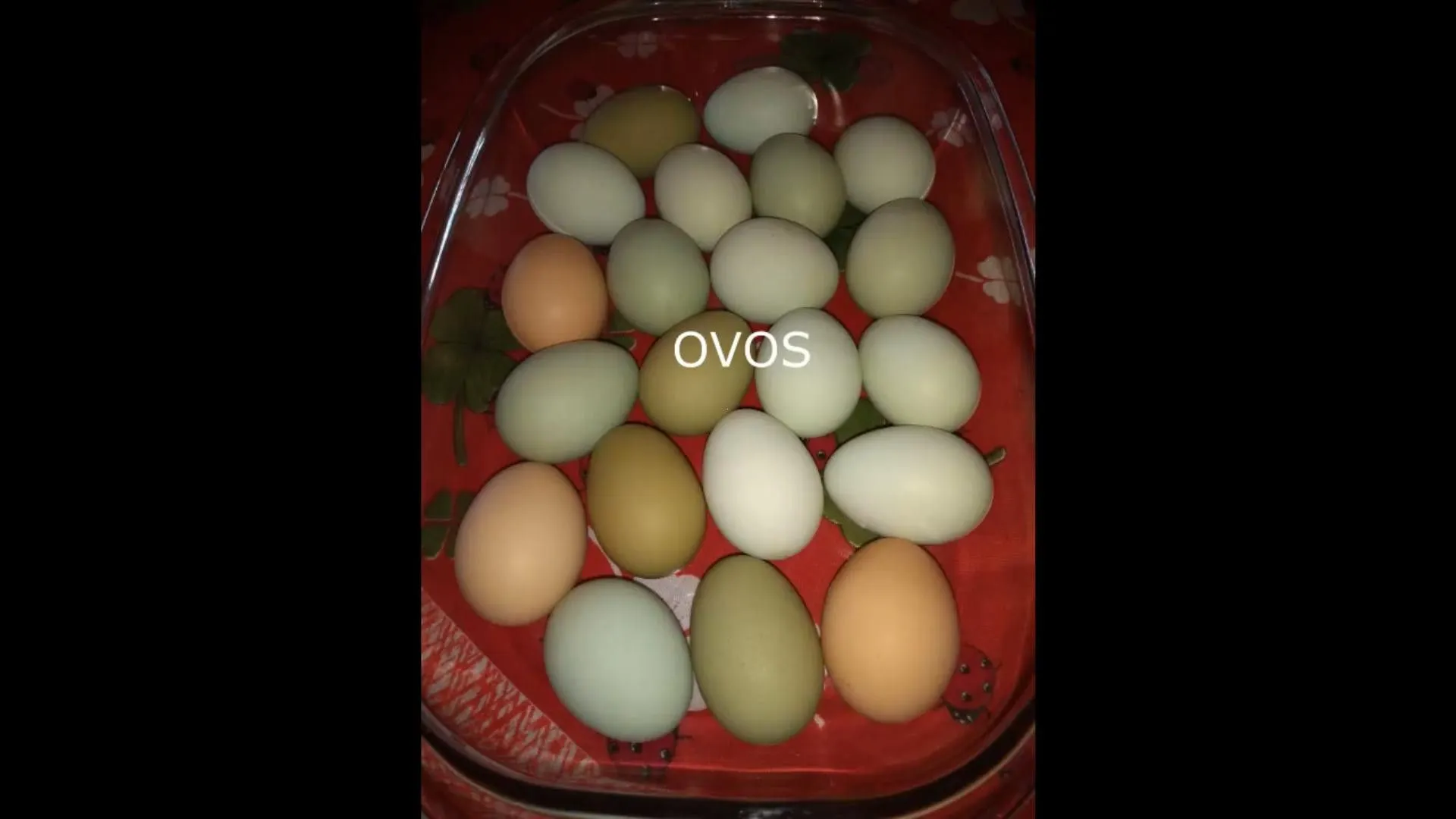 Chácara à venda de 7 ha em Rolante, RS, Brasil