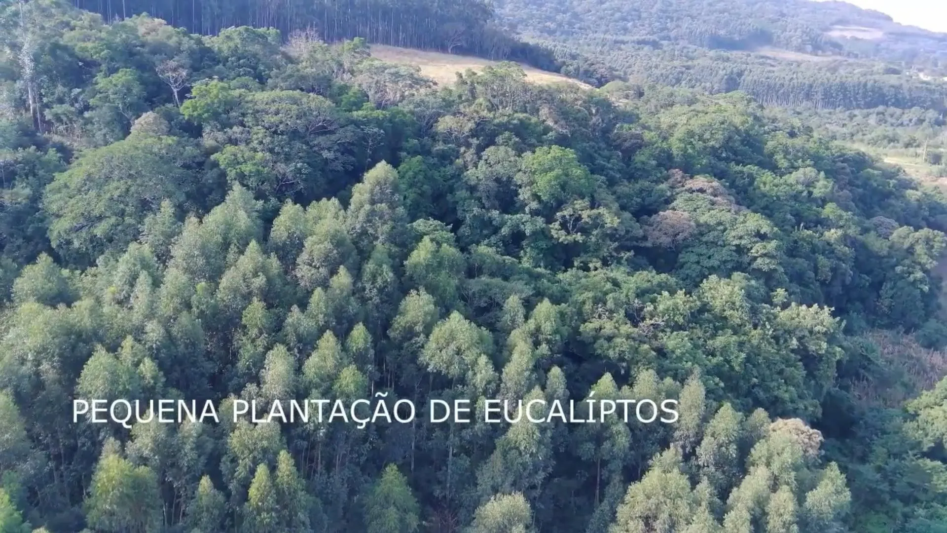Chácara à venda de 7 ha em Rolante, RS, Brasil