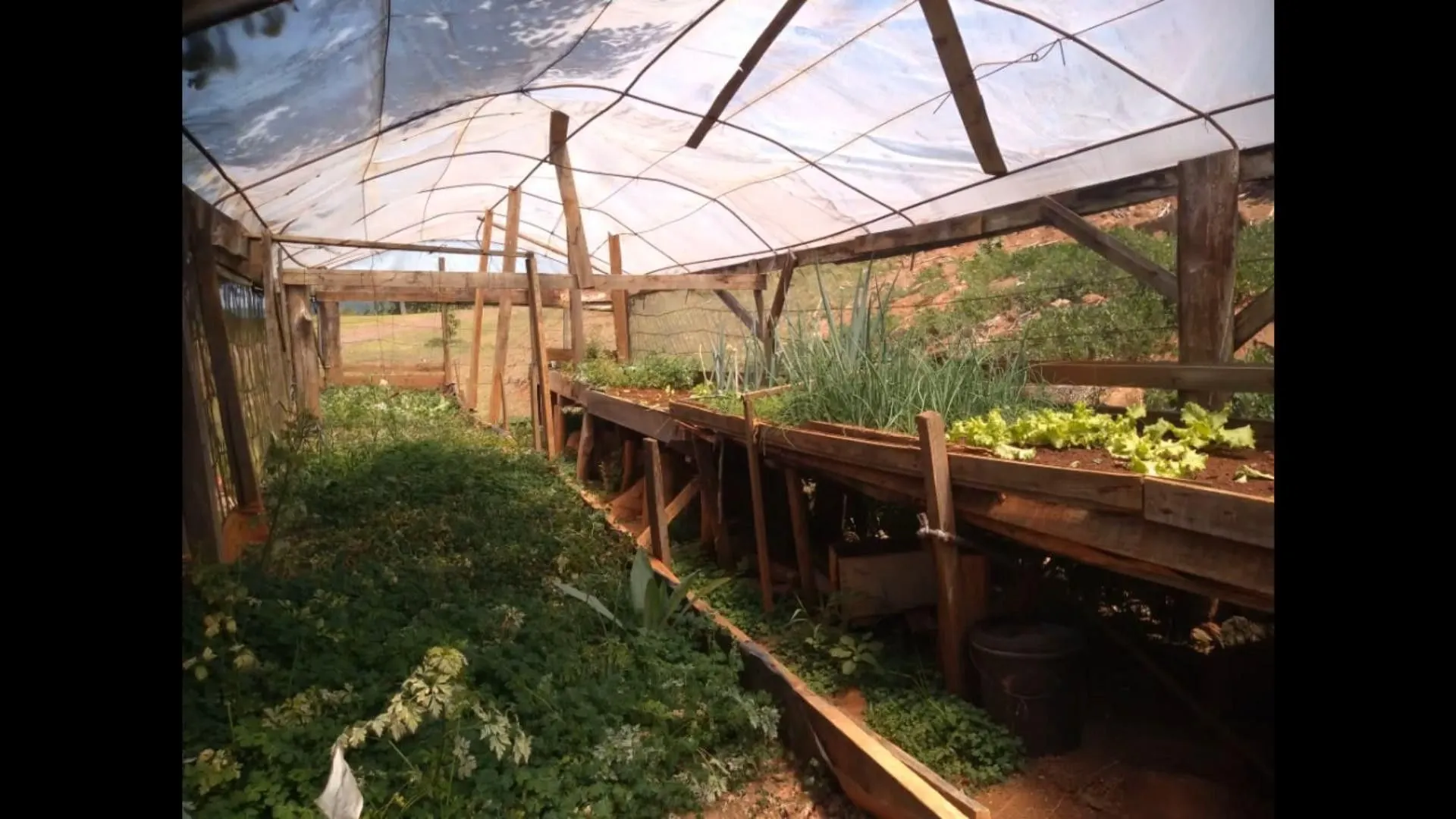 Chácara à venda de 7 ha em Rolante, RS, Brasil