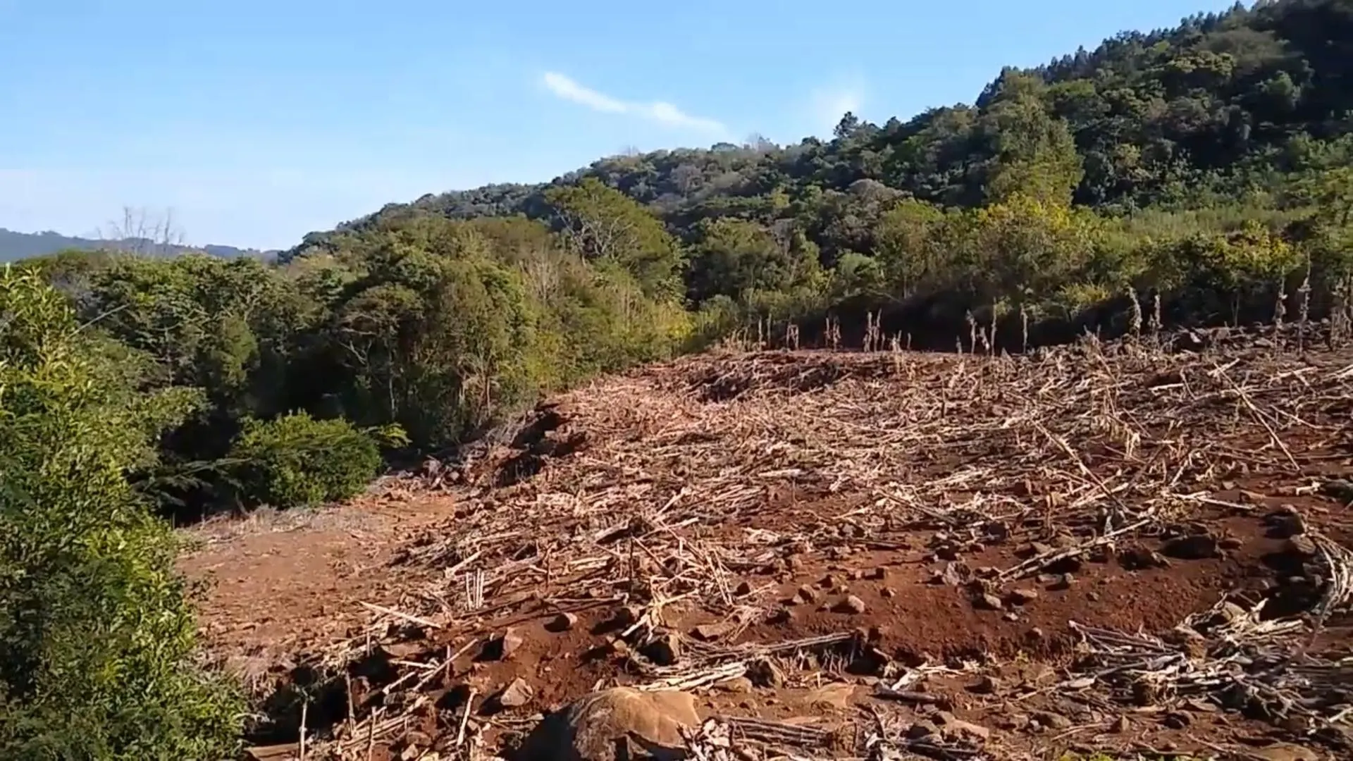 Chácara à venda de 7 ha em Rolante, RS, Brasil