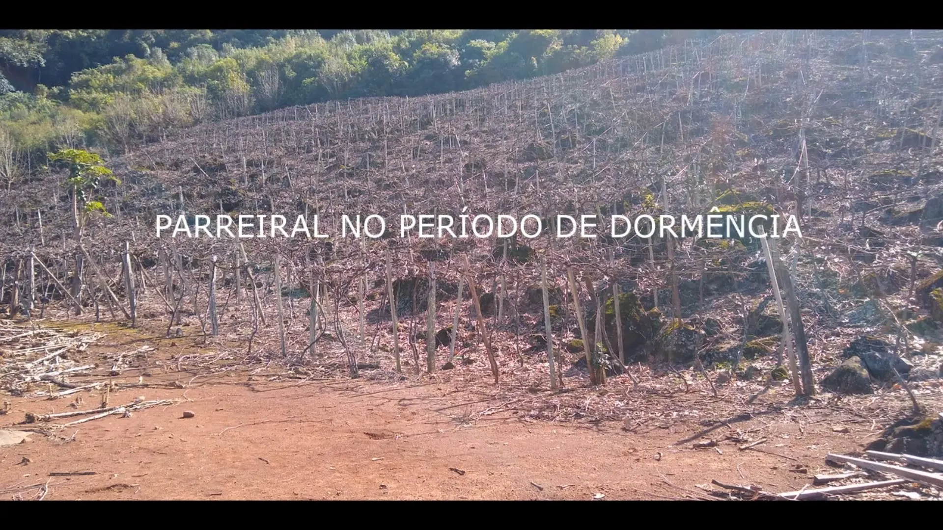 Chácara à venda de 7 ha em Rolante, RS, Brasil