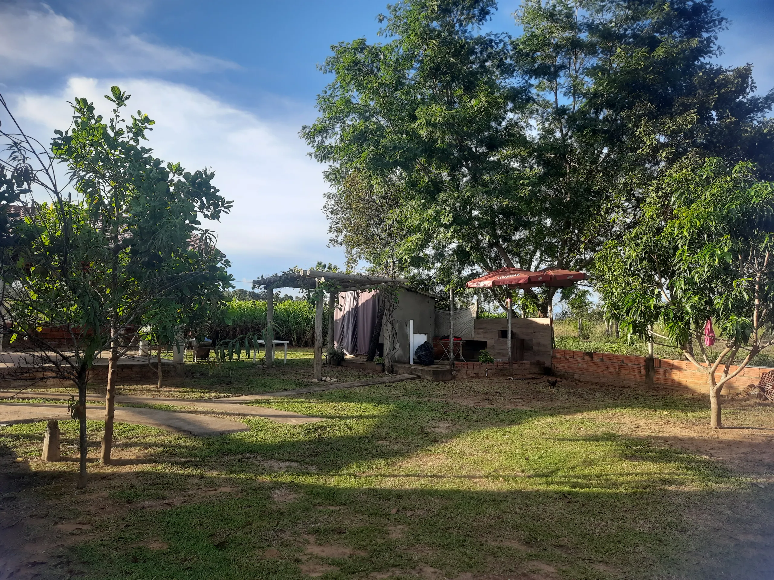 Sítio à venda de 31 ha em Novo Acordo, TO, Brasil