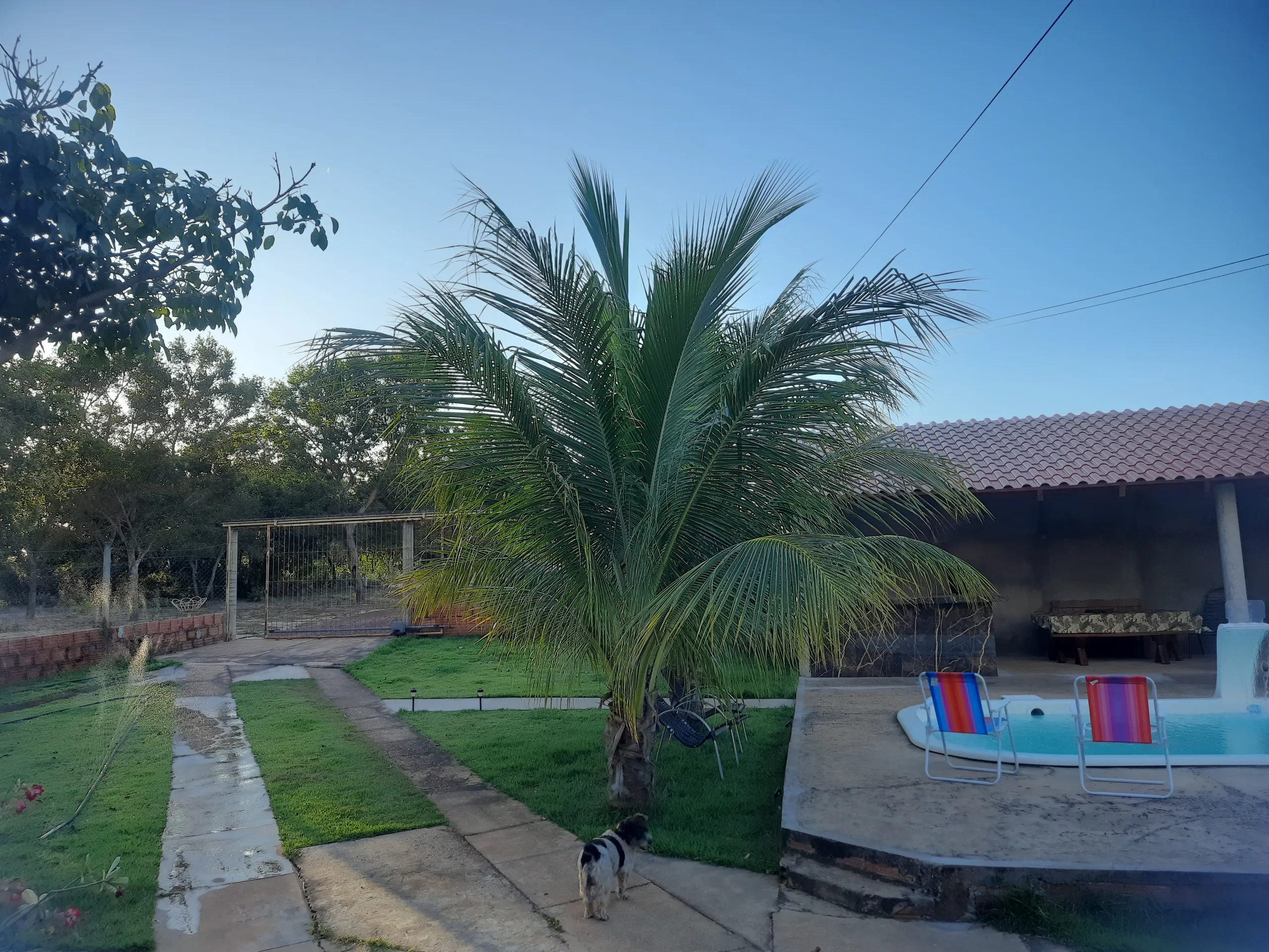 Sítio à venda de 31 ha em Novo Acordo, TO, Brasil