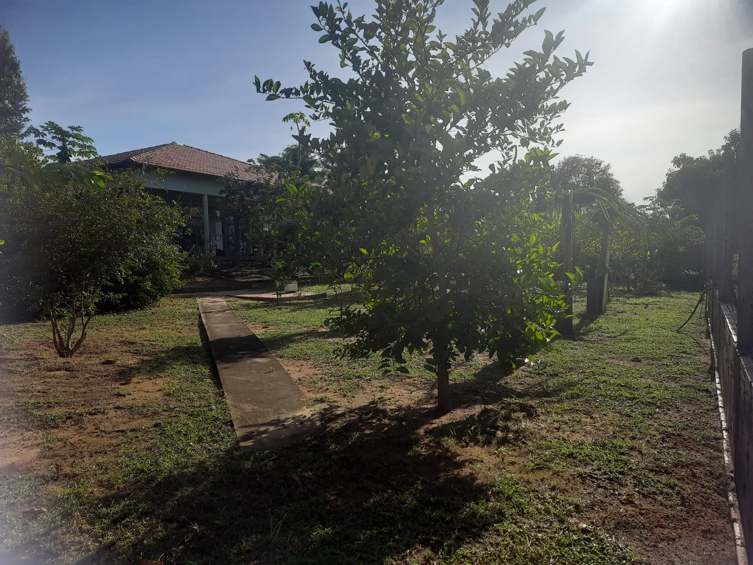 Sítio à venda de 31 ha em Novo Acordo, TO, Brasil