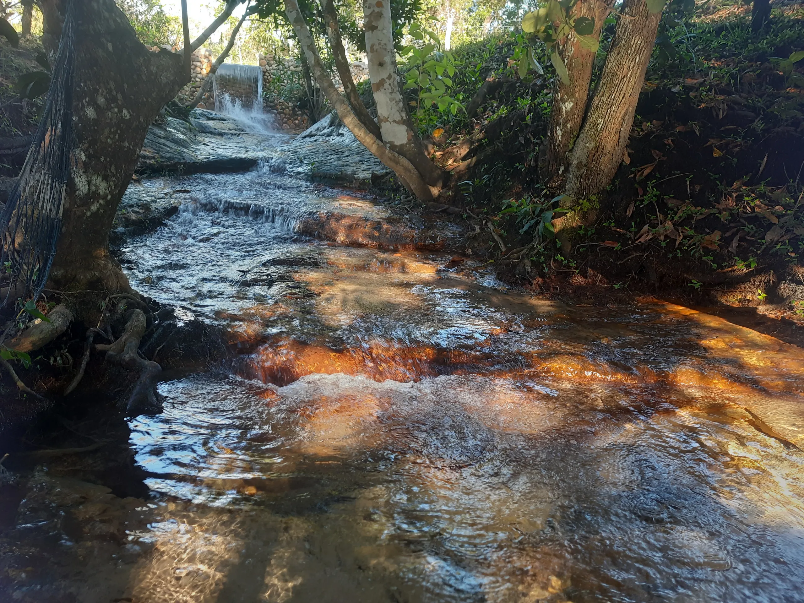 Sítio à venda de 31 ha em Novo Acordo, TO, Brasil