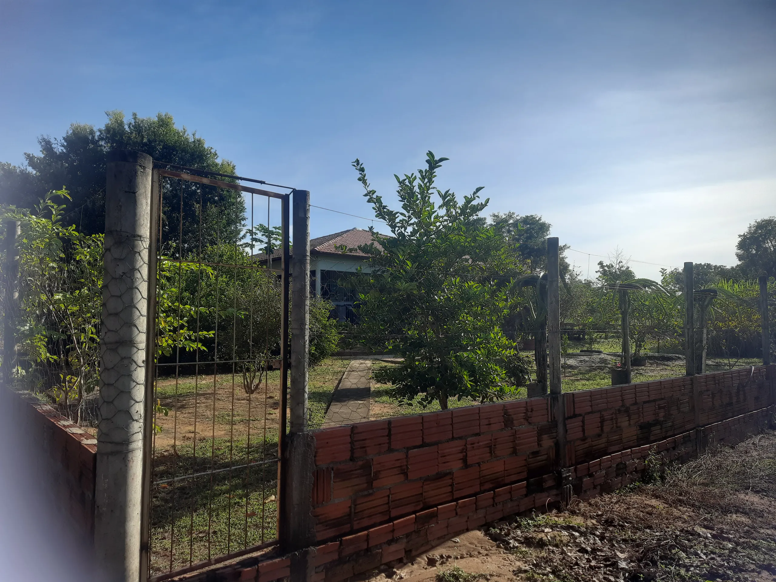 Sítio à venda de 31 ha em Novo Acordo, TO, Brasil