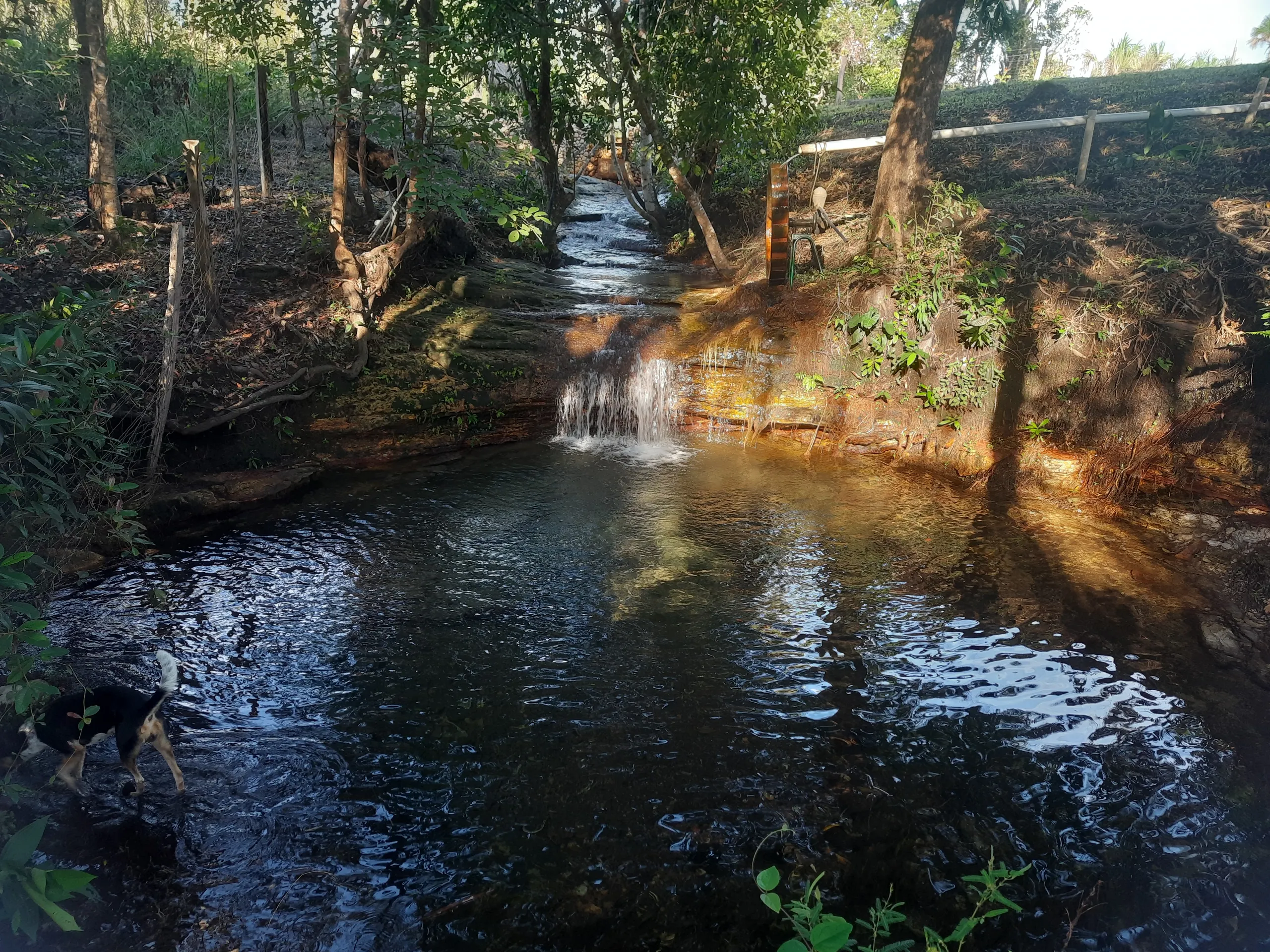 Sítio à venda de 31 ha em Novo Acordo, TO, Brasil