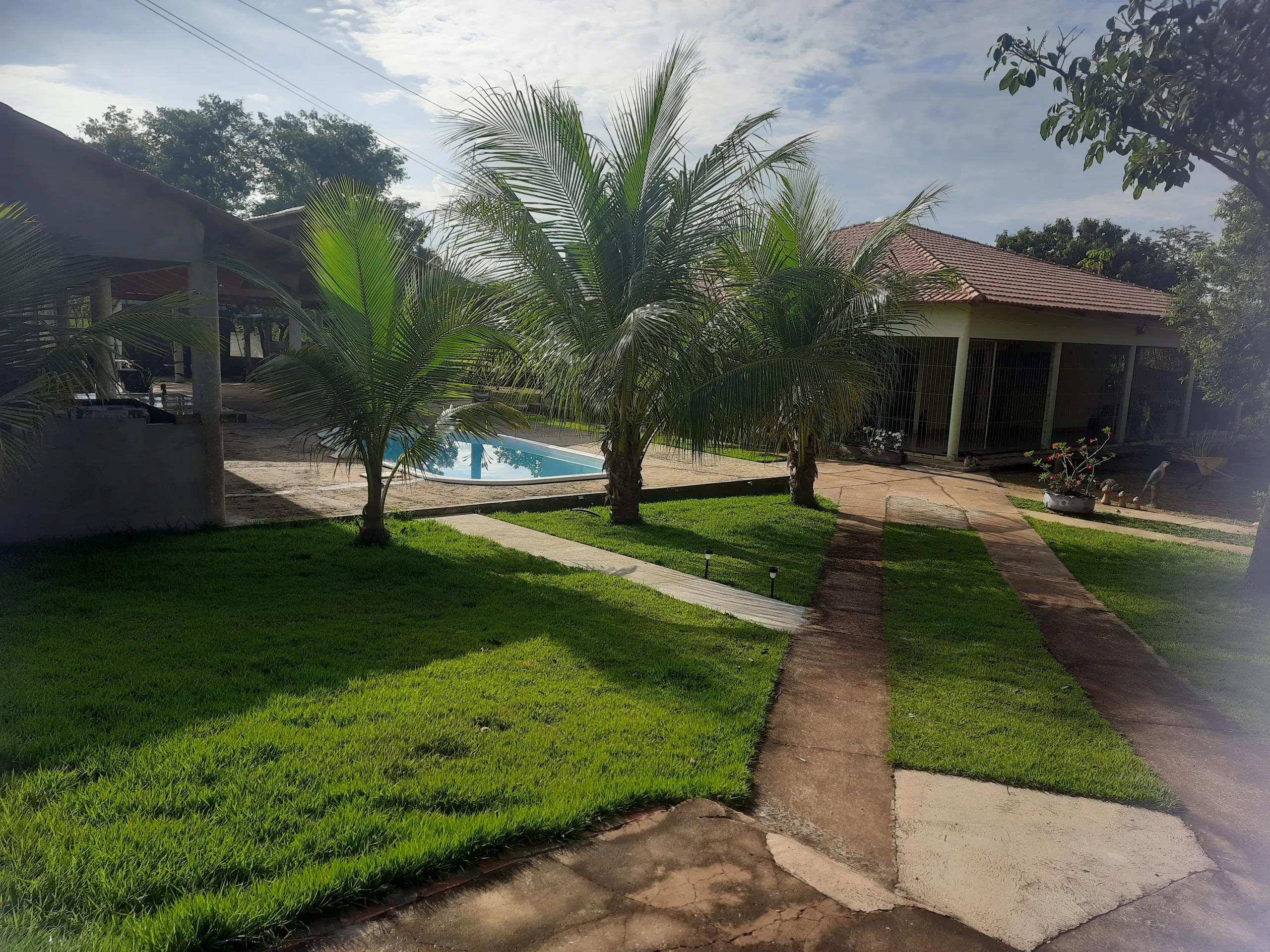 Sítio à venda de 31 ha em Novo Acordo, TO, Brasil