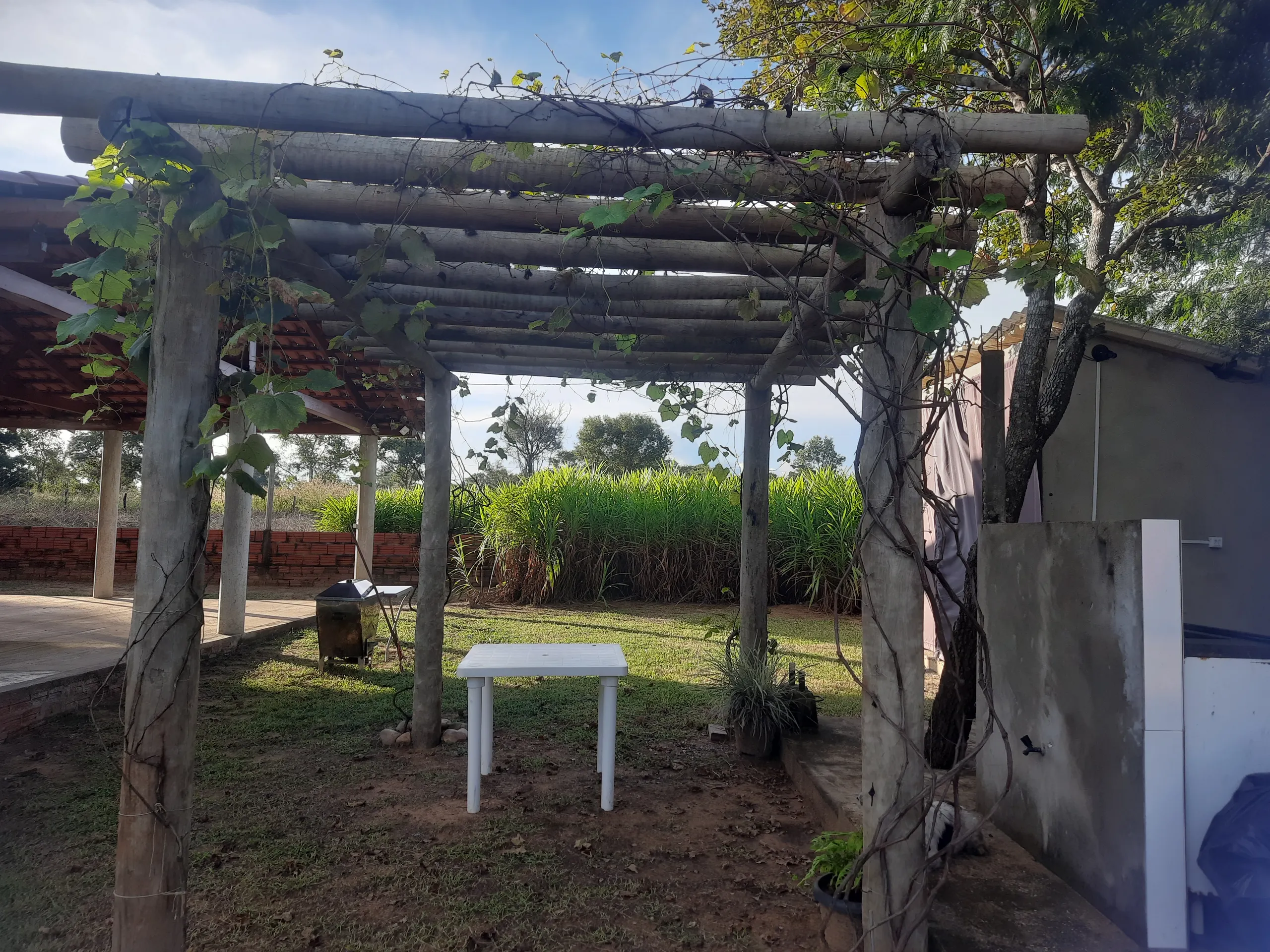 Sítio à venda de 31 ha em Novo Acordo, TO, Brasil