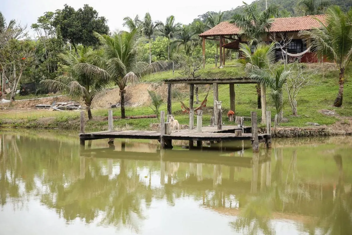 Fazenda à venda de 290 ha em Juquiá, SP, Brasil