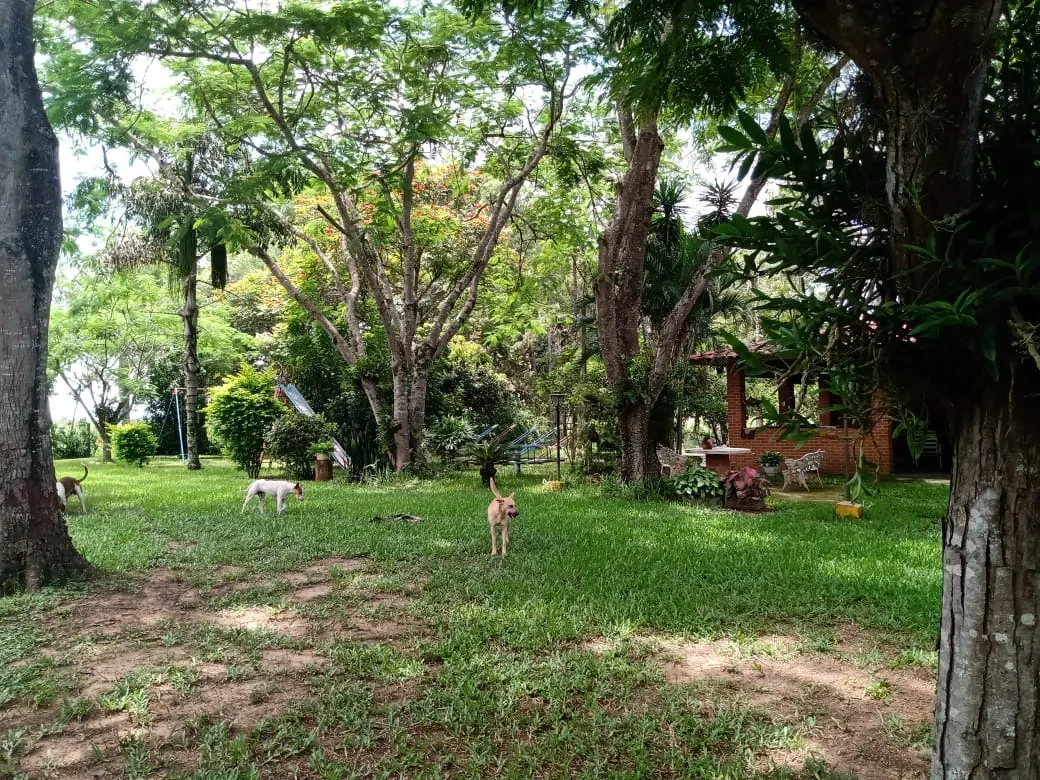 Sítio à venda de 56 ha em Cesário Lange, SP, Brasil