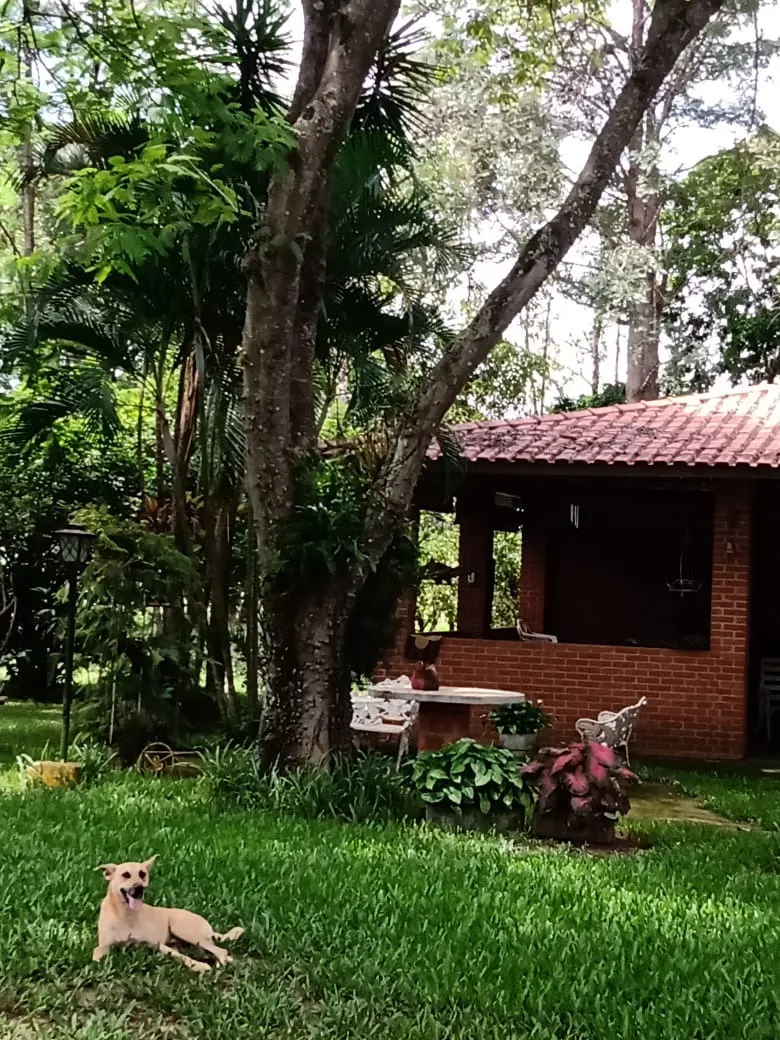 Sítio à venda de 56 ha em Cesário Lange, SP, Brasil