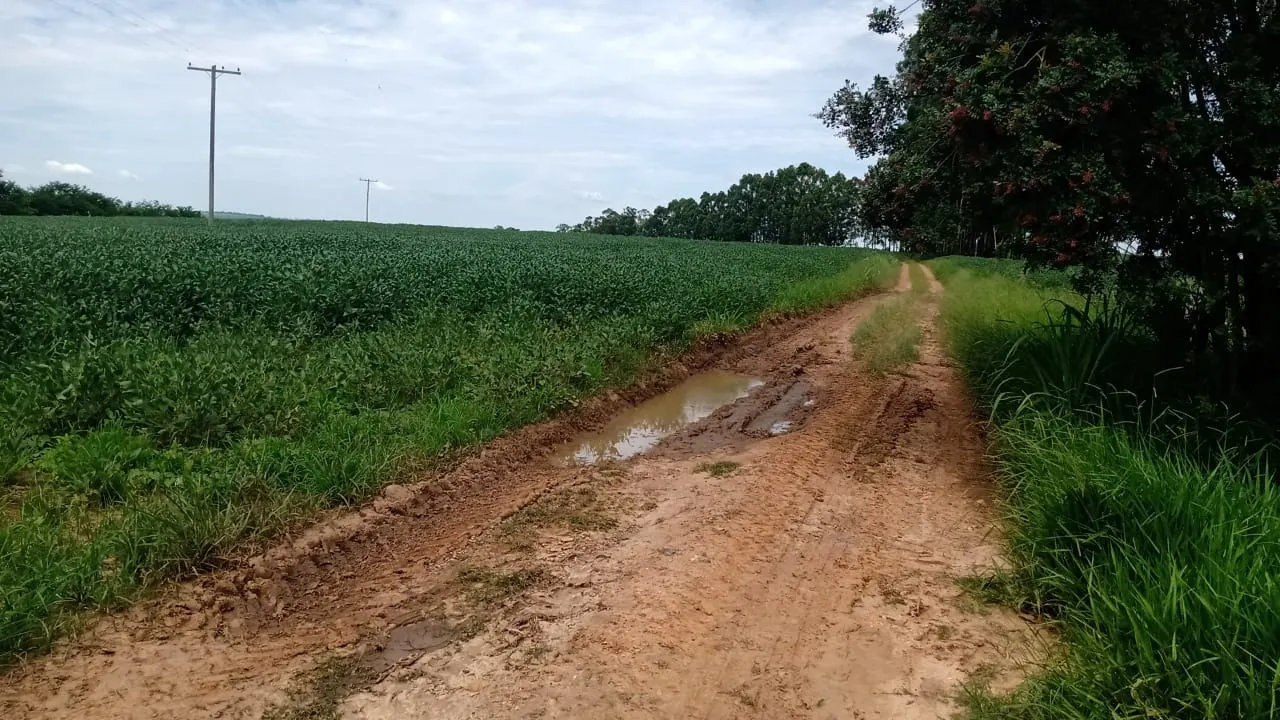 Sítio à venda de 56 ha em Cesário Lange, SP, Brasil